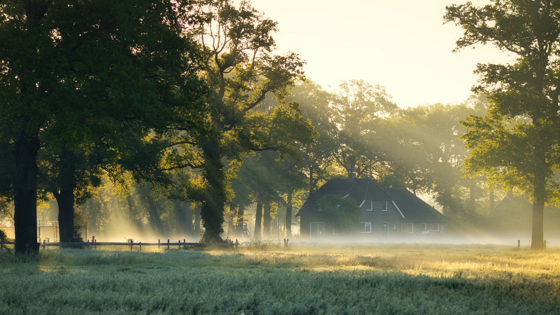 green grass field with trees during daytime
