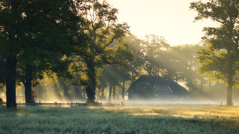 green grass field with trees during daytime