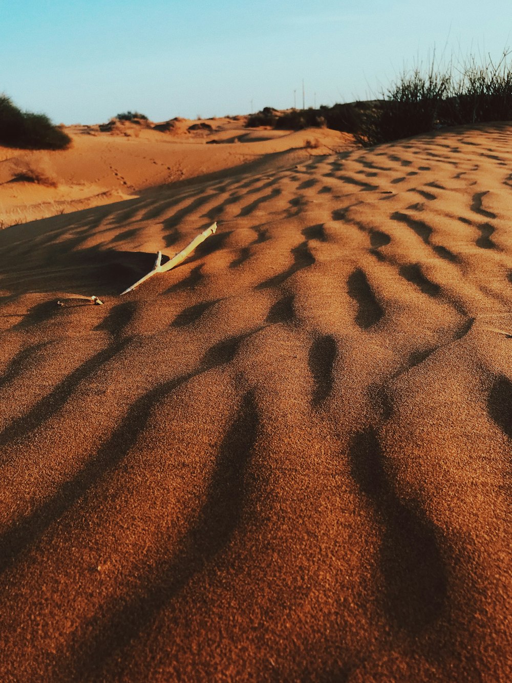 brown sand field during daytime