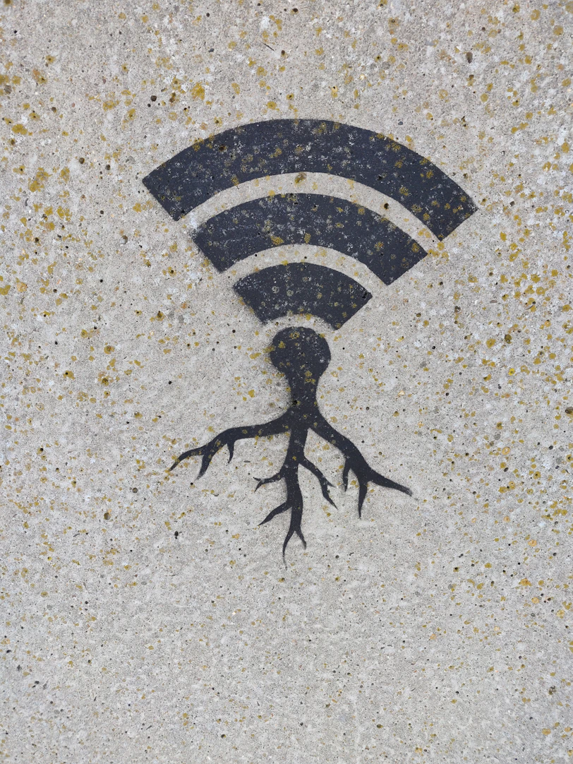 black and white striped flag