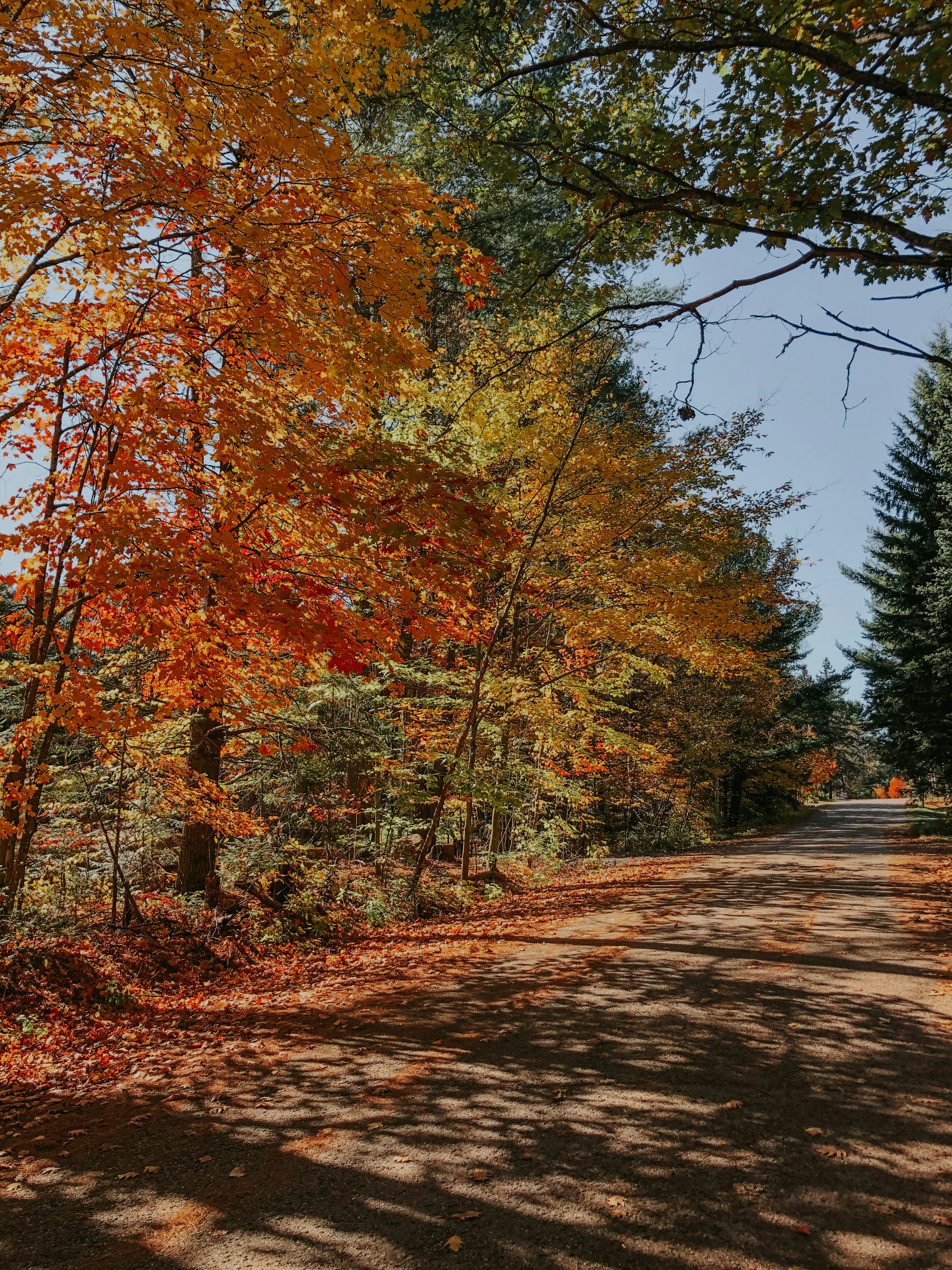 Photo by ryesullivan