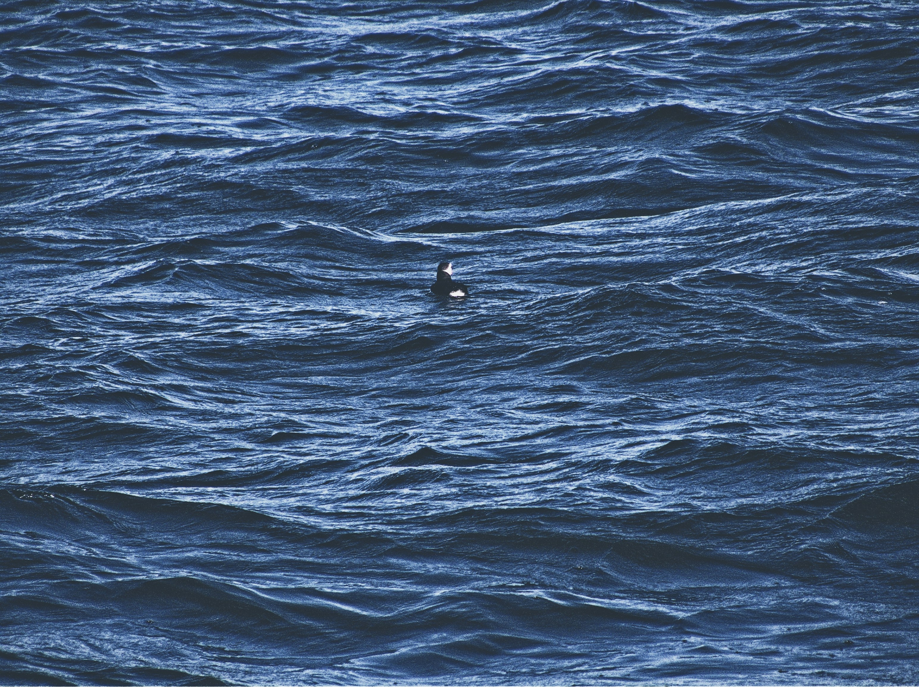 Photo by samoset_1937