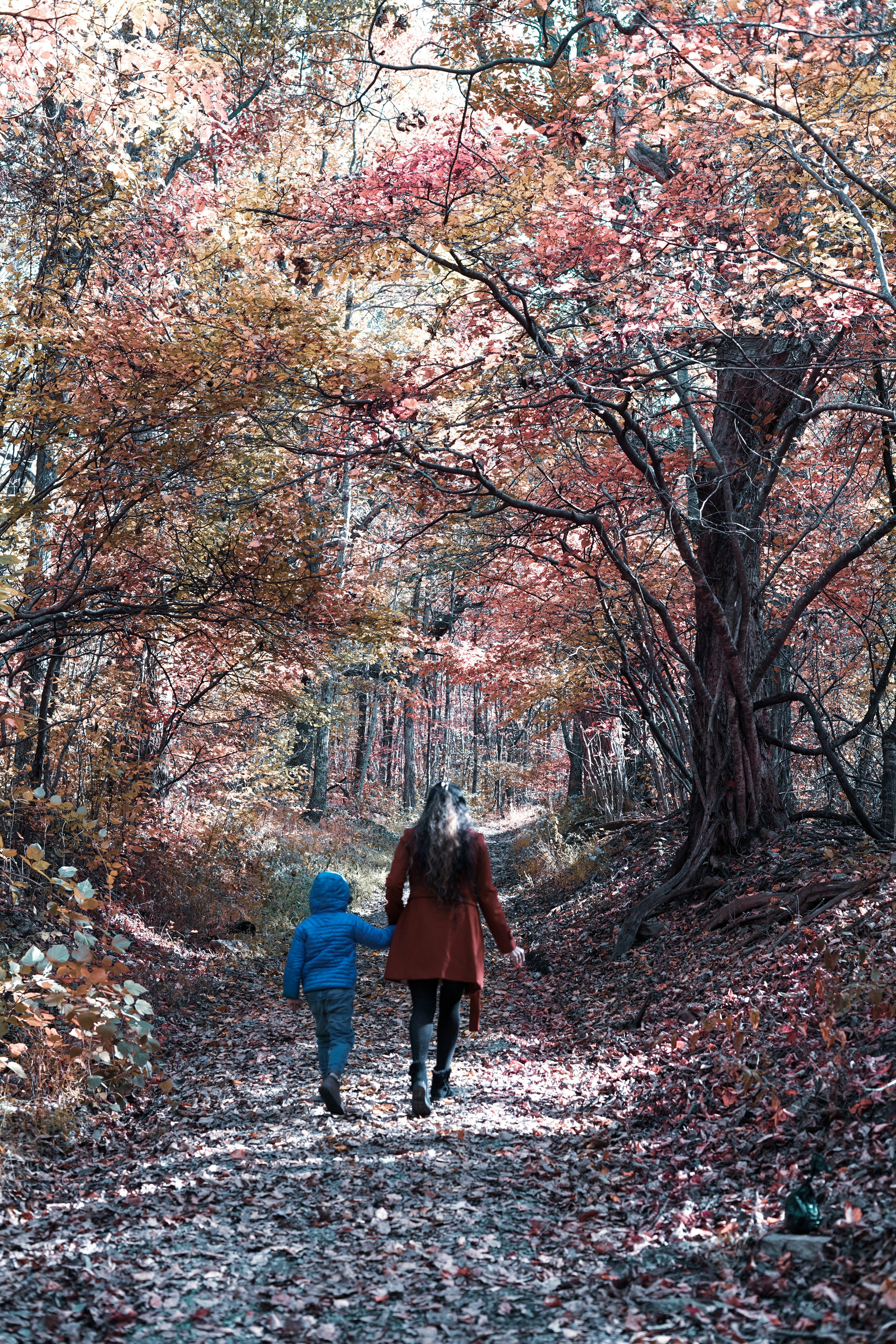 🍂 Working Through the Fall: How to Navigate Mid-Semester Chaos as a Working Mom
