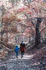 A mother and daughter walking hand in hand through a sun-dappled forest trail.