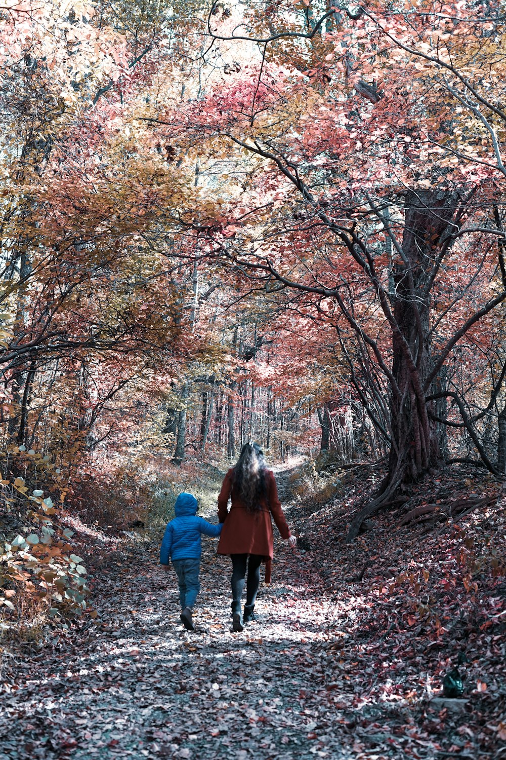 woman in red coat standing in the middle of the forest