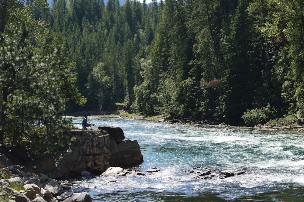 person standing on rock near body of water during daytime