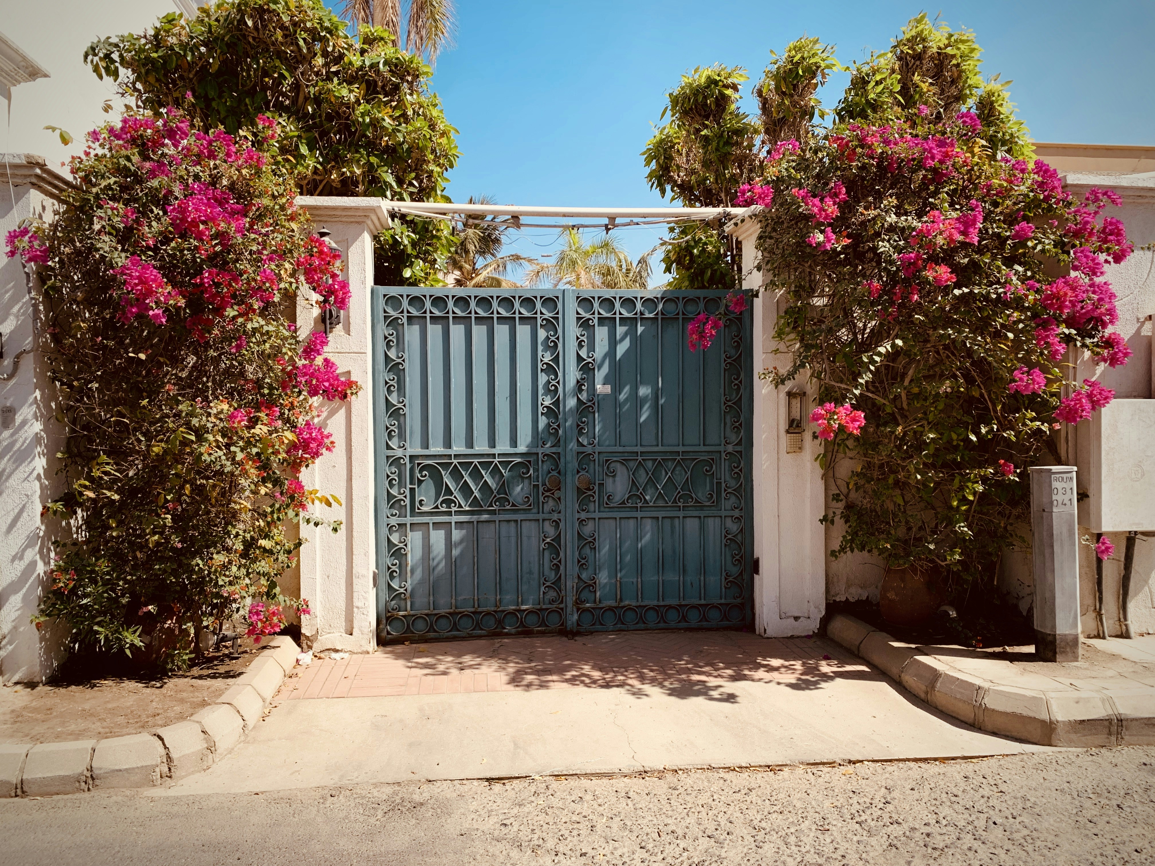 Photo by richard_glendenning