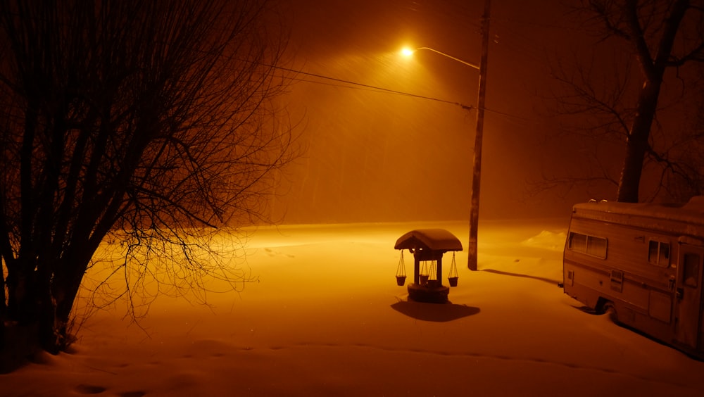 person in black coat holding umbrella standing on snow covered ground during sunset