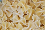 white flower petals in close up photography