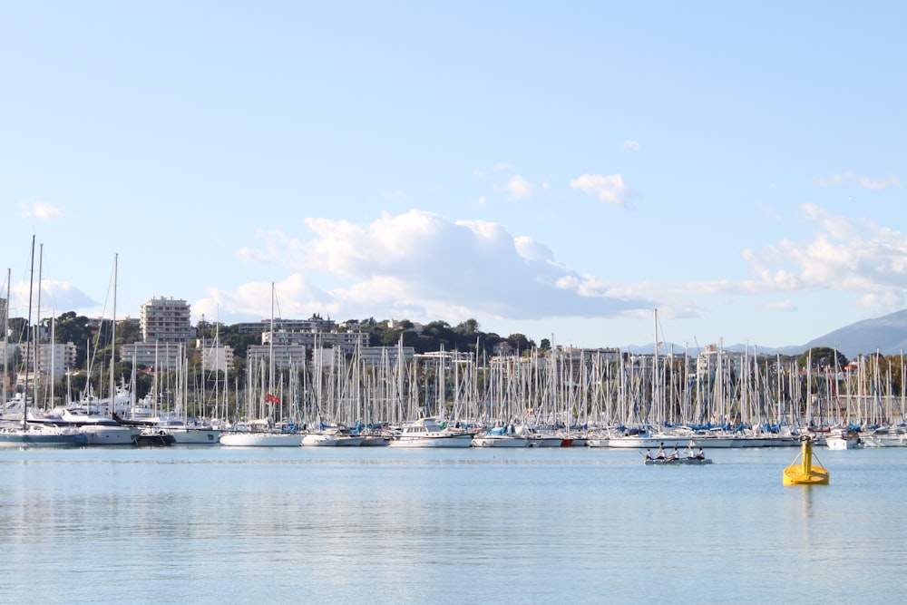 white boat on sea near city buildings during daytime