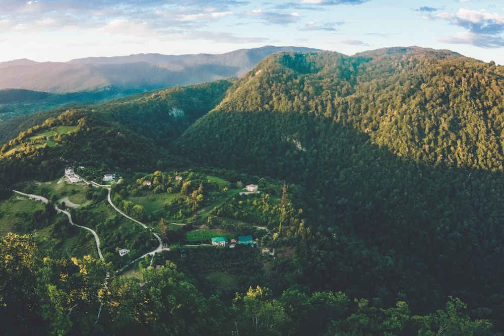 green trees on mountain during daytime