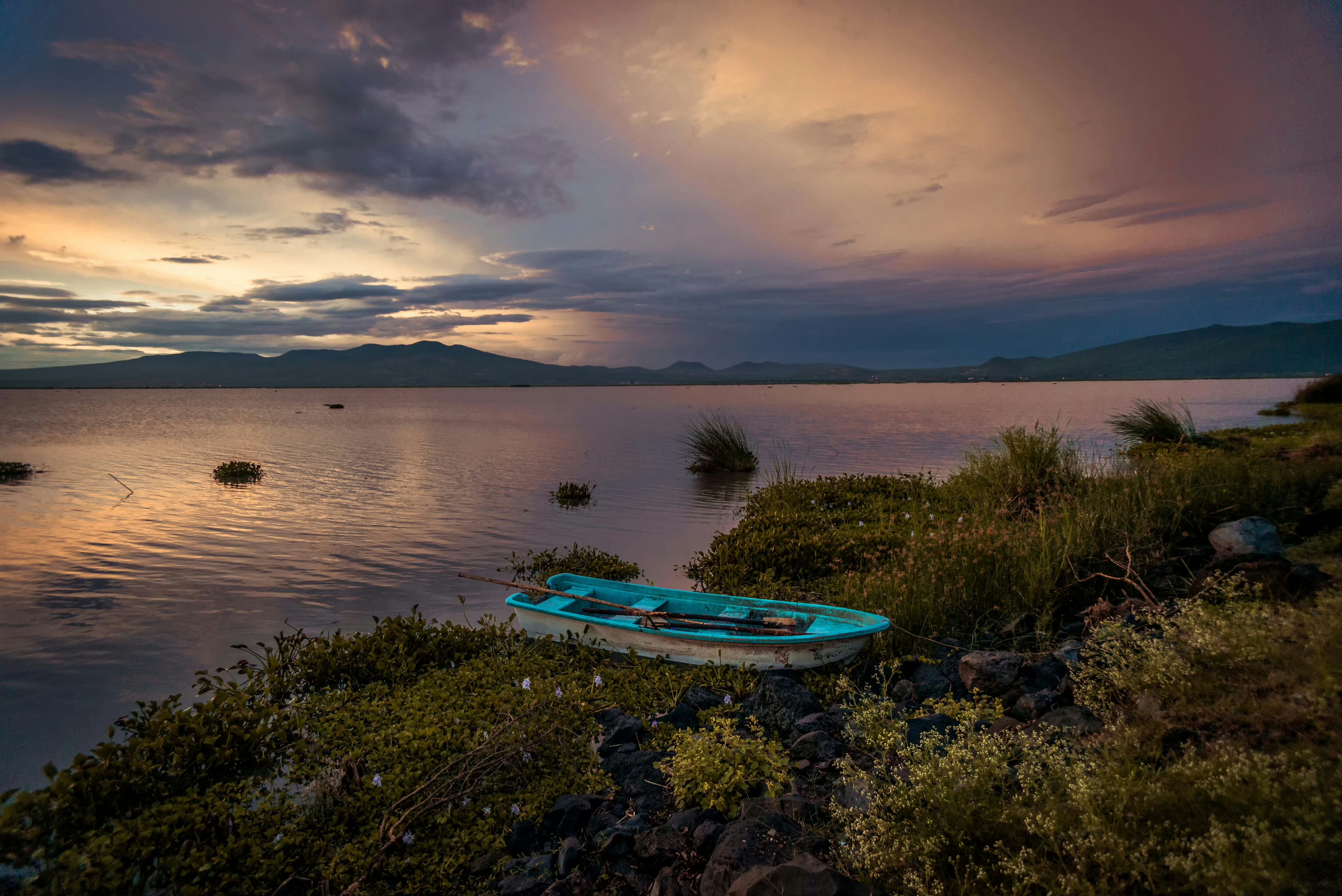 blue and white boat on water during daytime