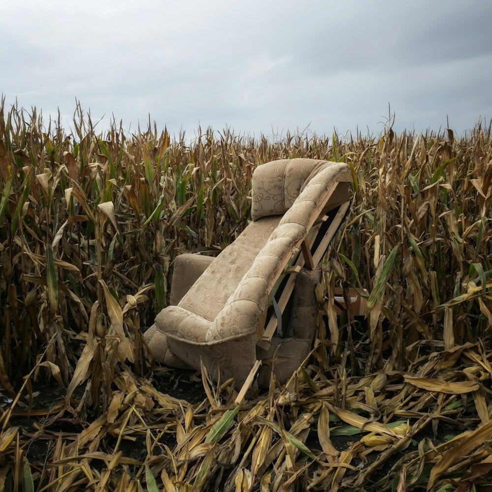 sillón tejido marrón y beige sobre campo de hierba marrón