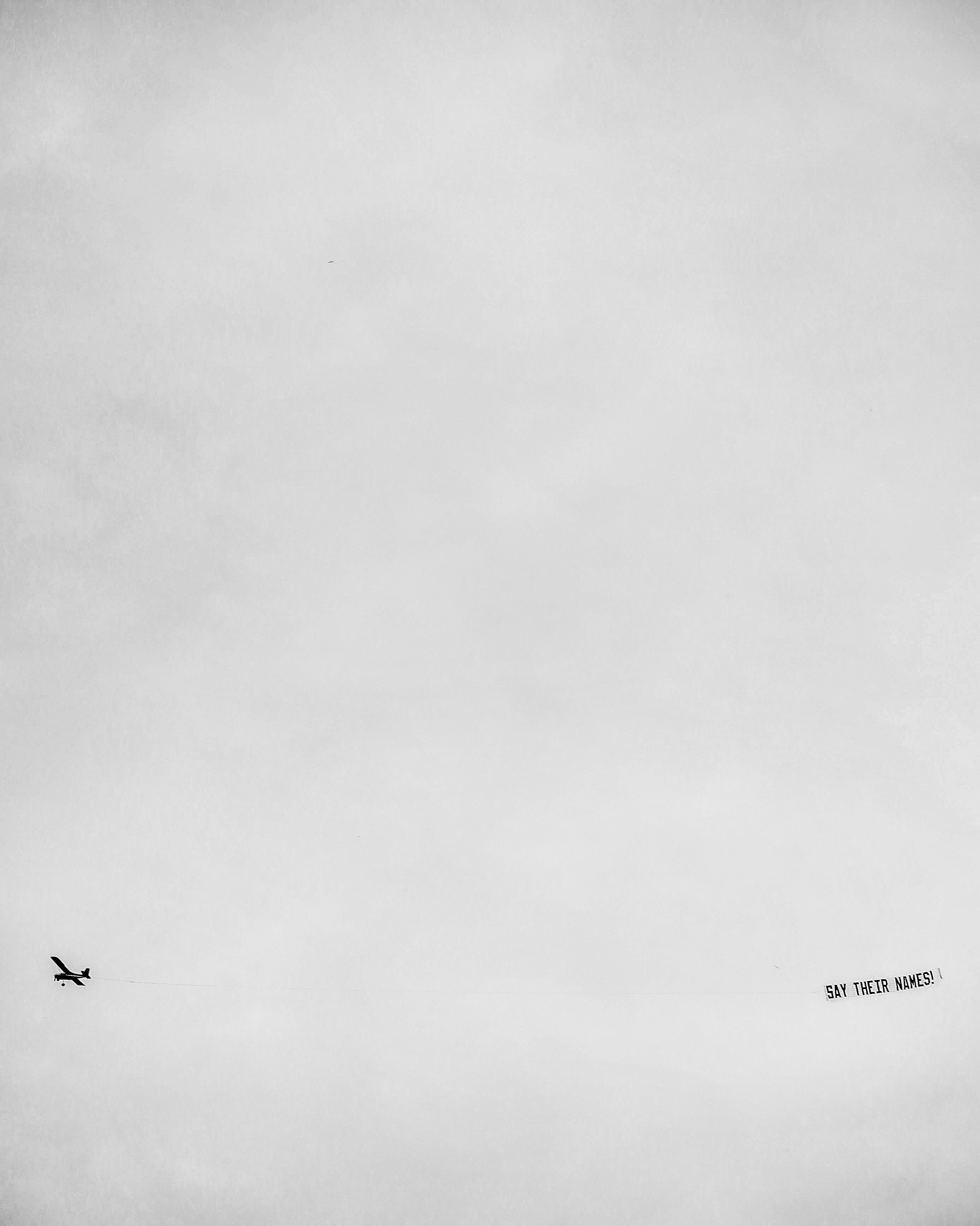 black bird flying during daytime