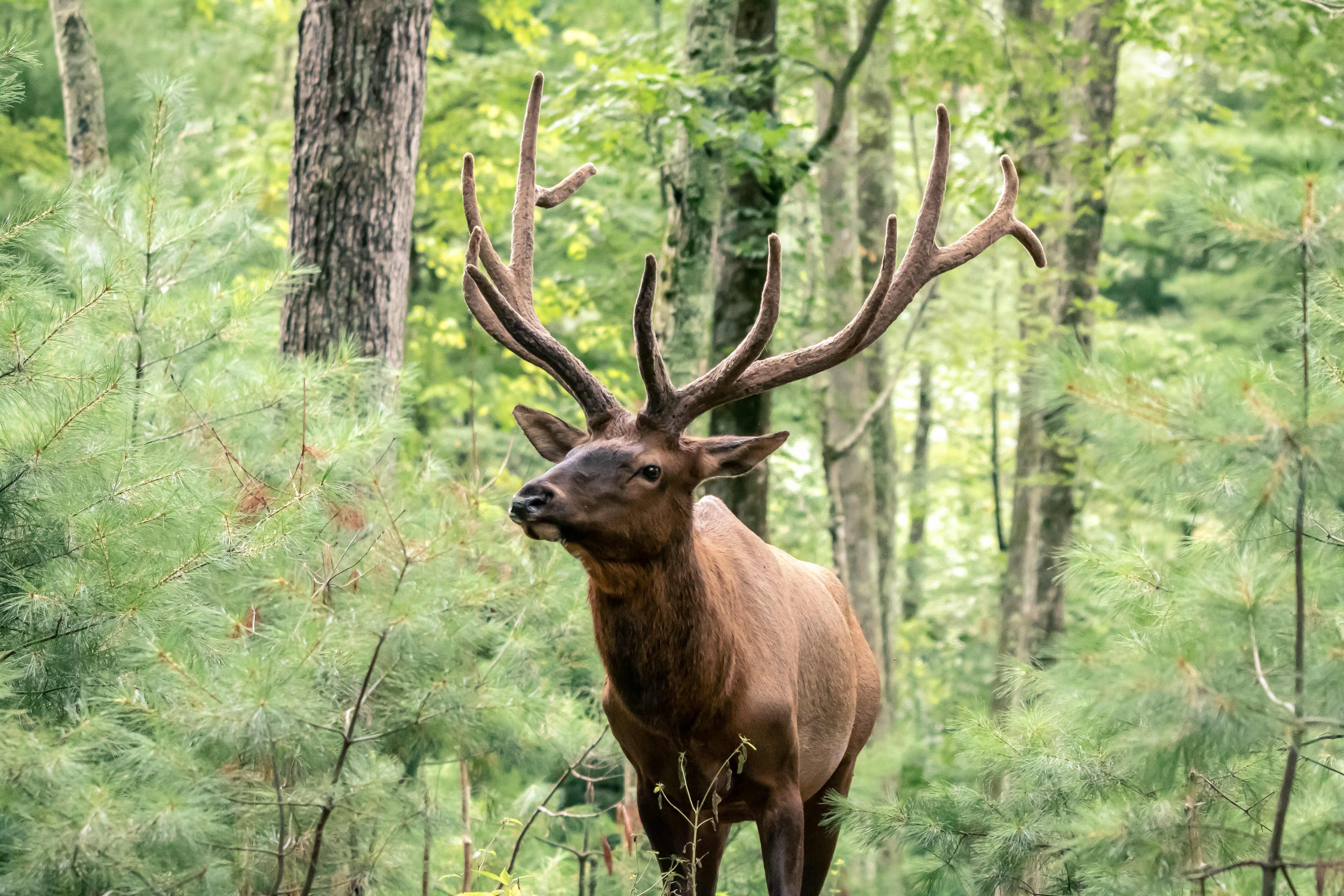 Photo by rose_thayer