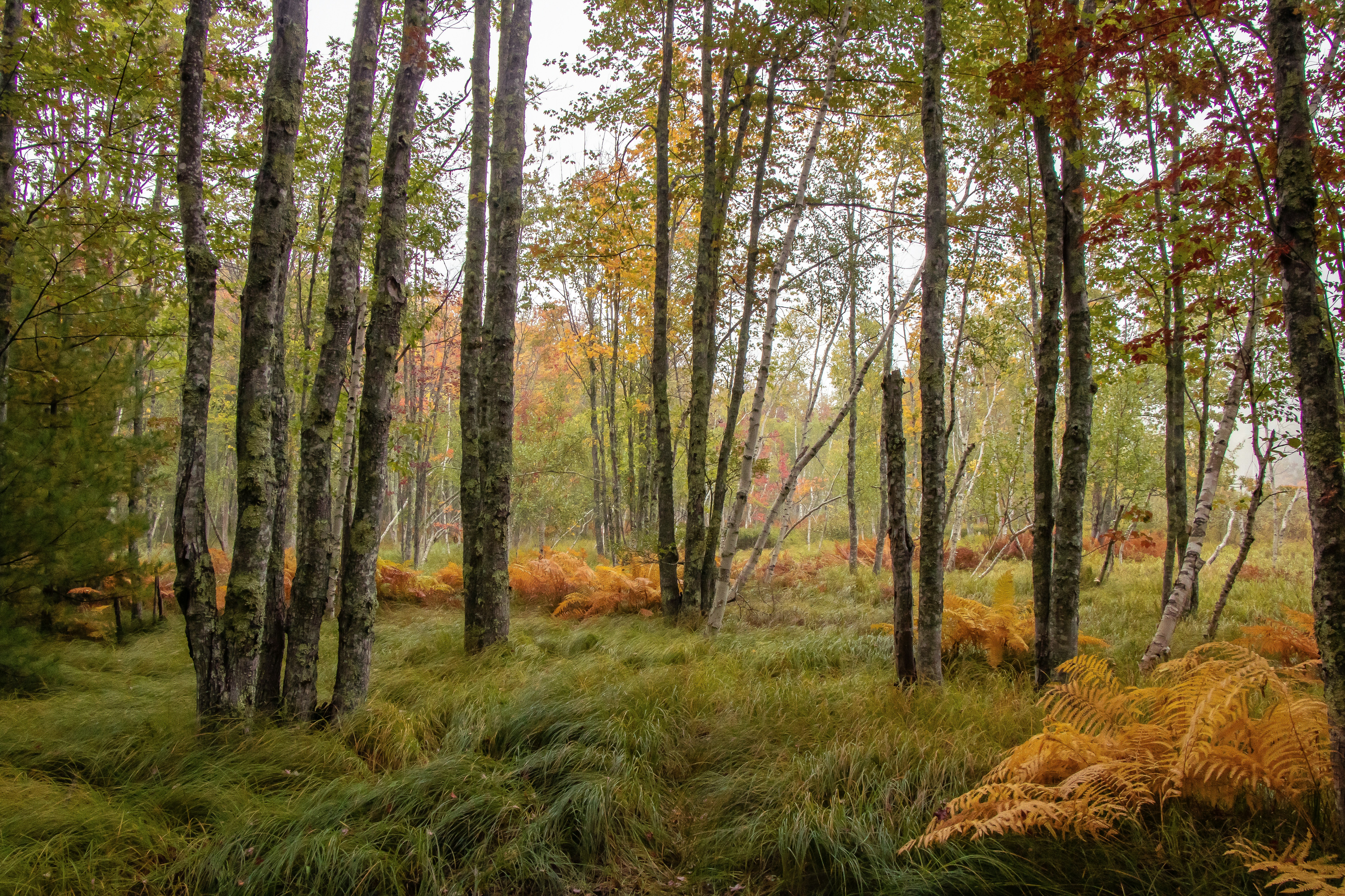 Photo by rose_thayer