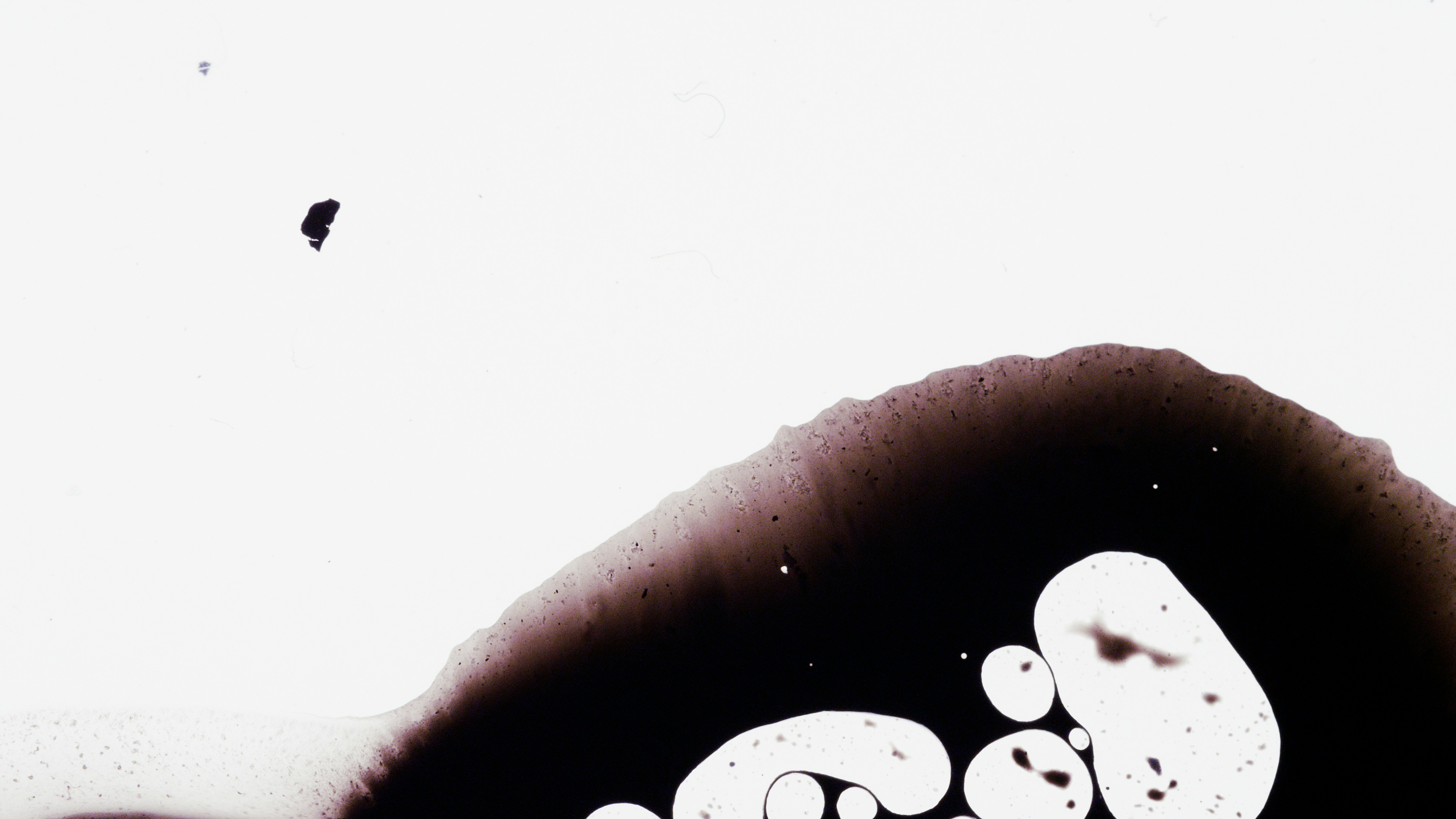 Photo by alex_gruber