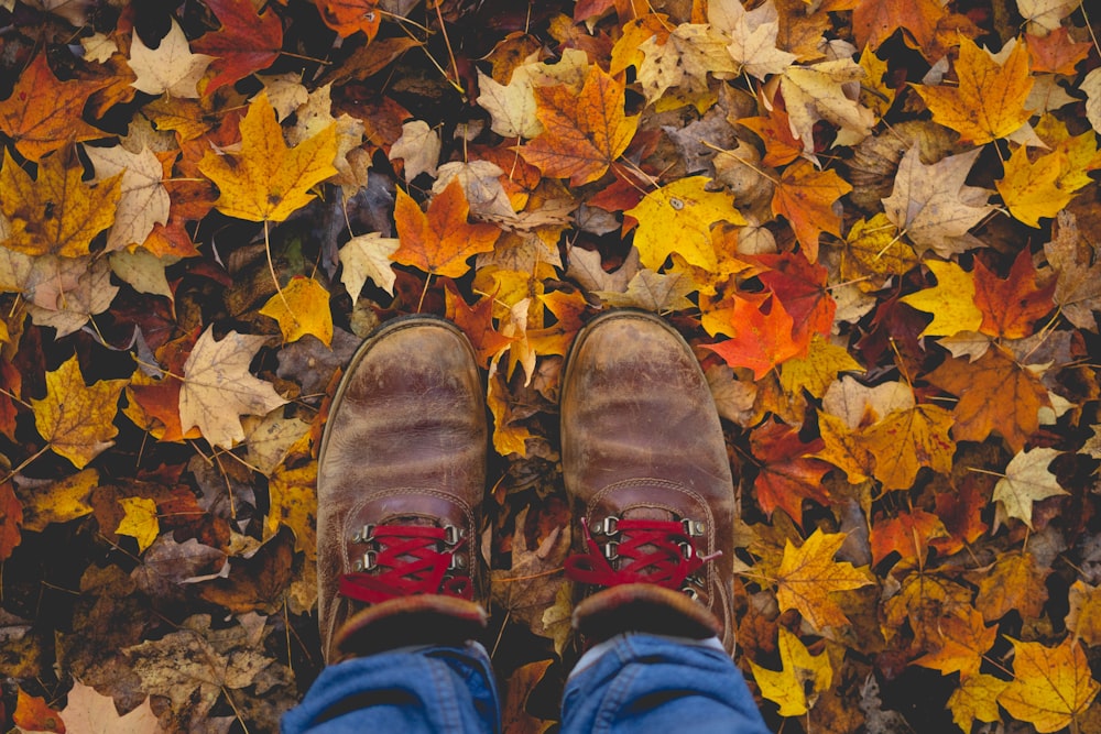 person in blue denim jeans and brown leather shoes standing on dried leaves
