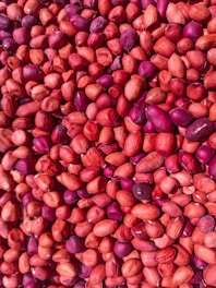 brown and red round fruits