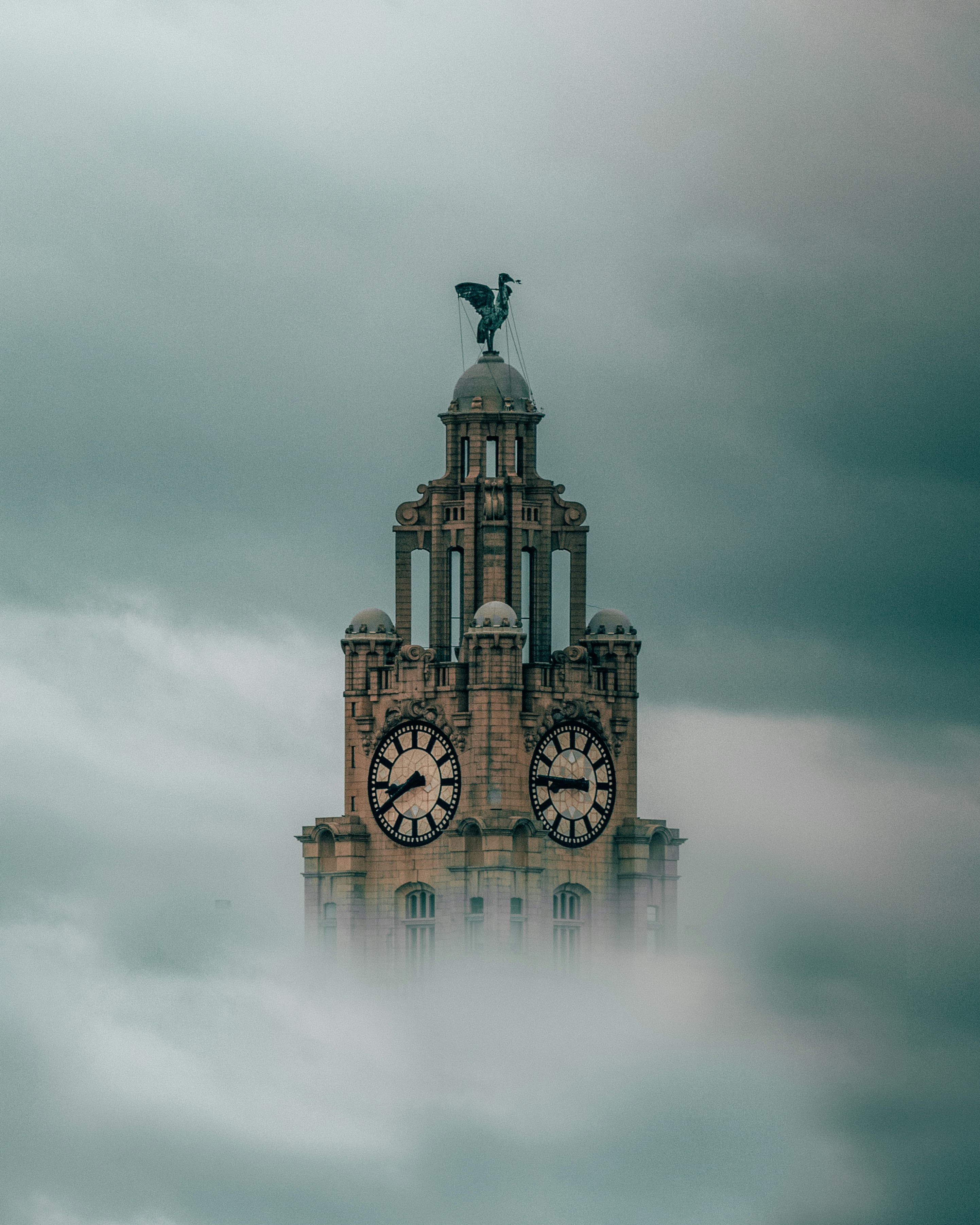 Liver Building