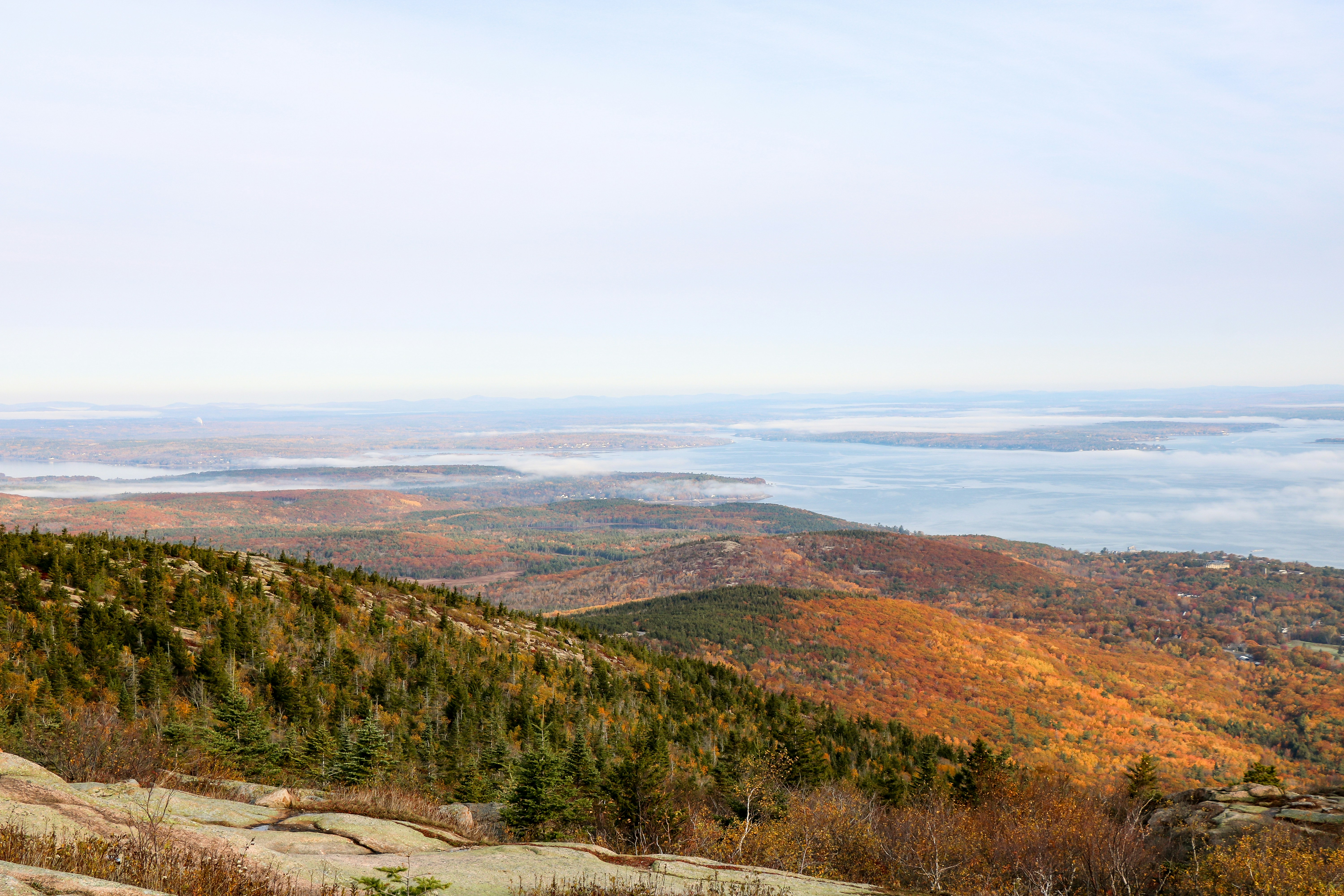 Photo by rose_thayer