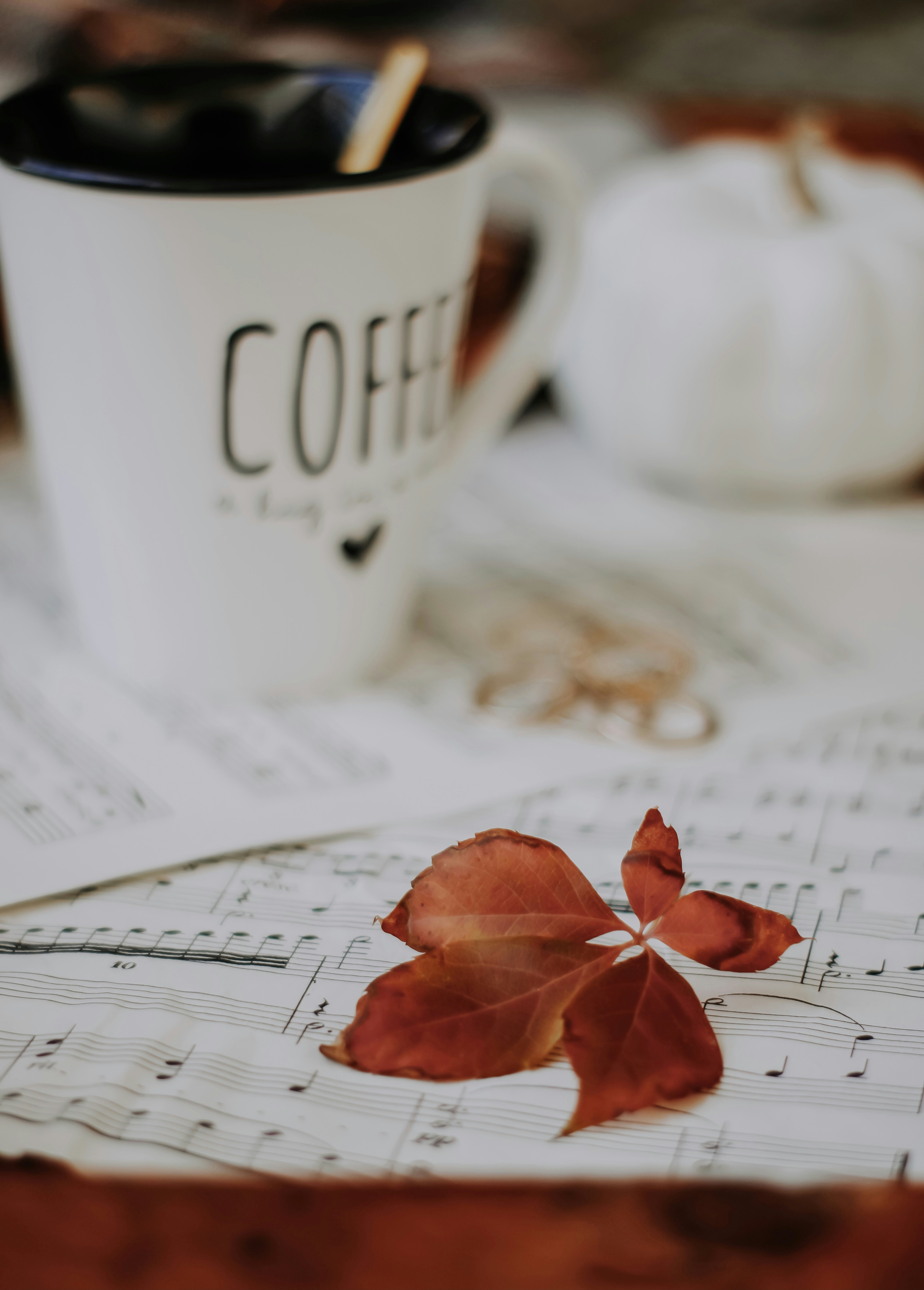 The Paradox of Choice in Learning: Why Constraints Enable Progress