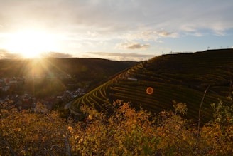 A panoramic view of terracotta vineyards under a warm desert sunset with colonial architecture in the background.