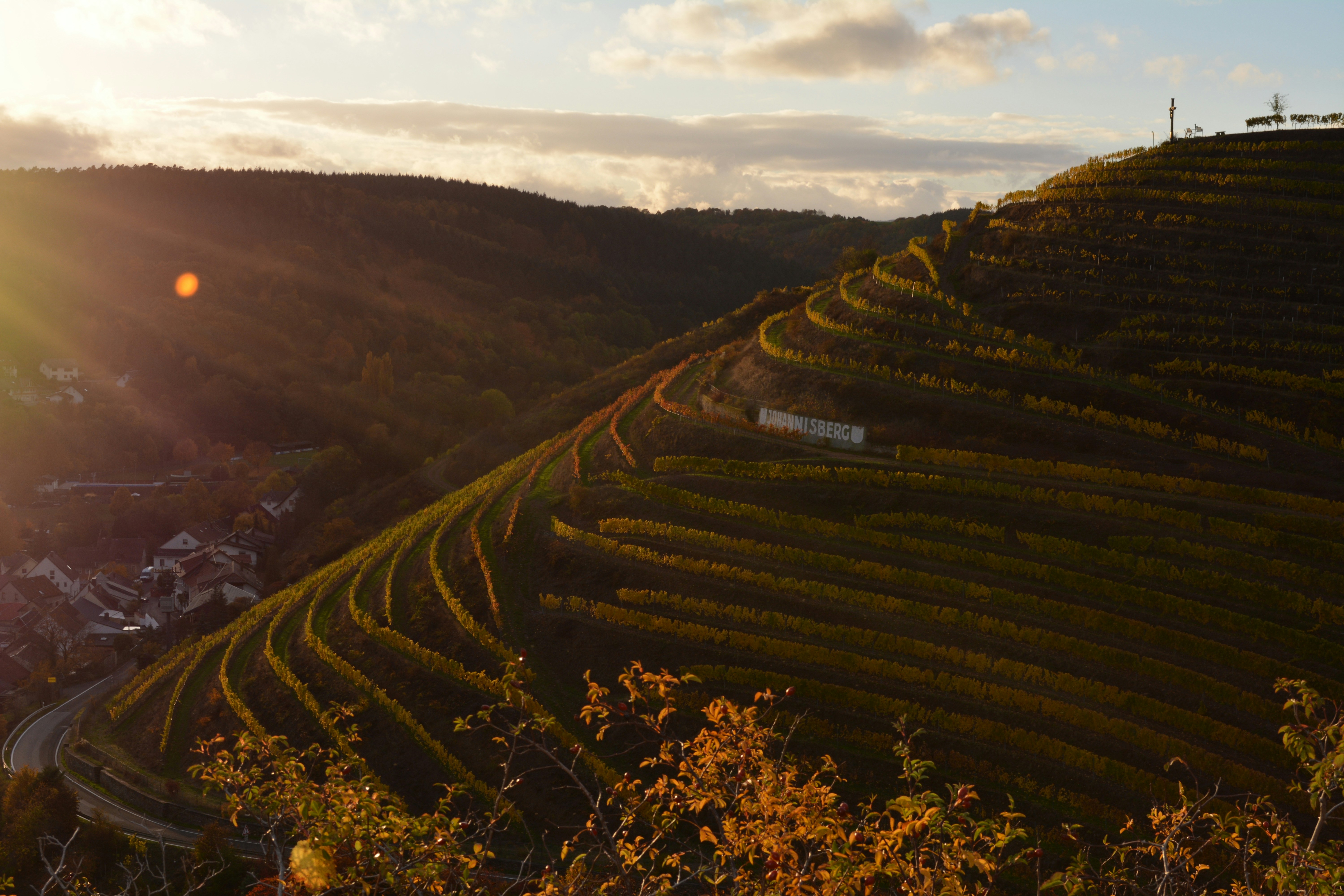 Photo by michael_ender