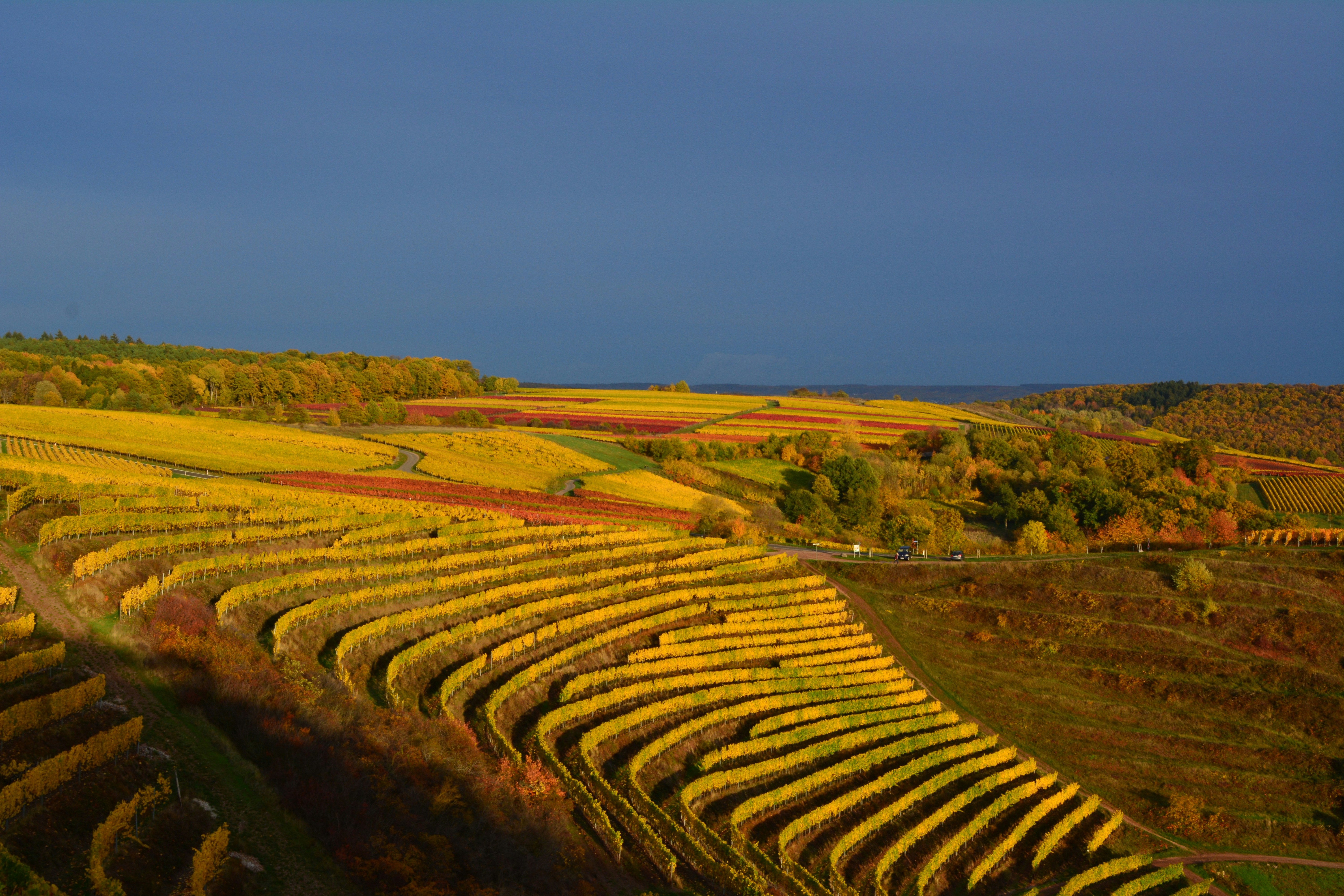 Photo by michael_ender