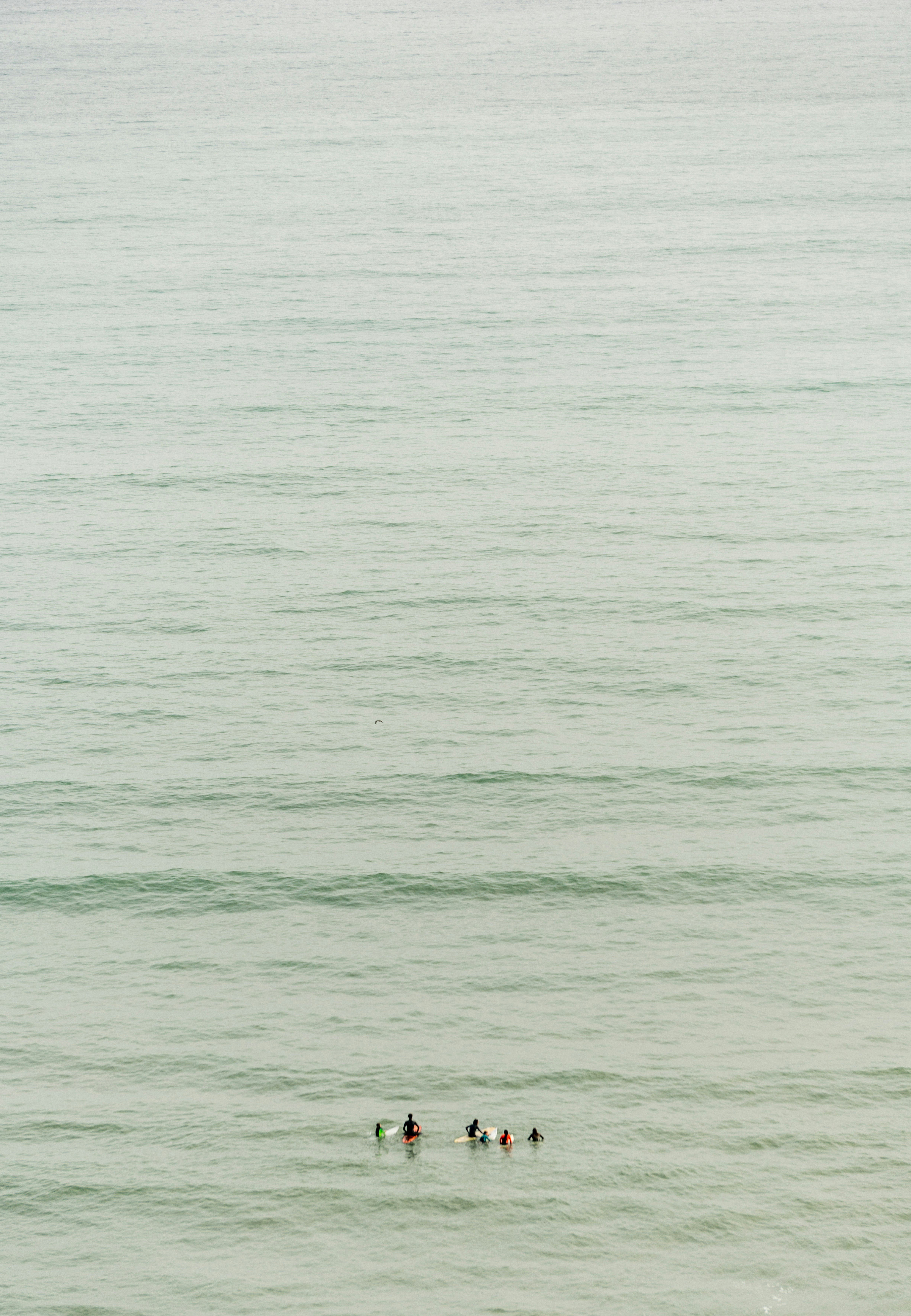 Photo by alvaromatzumura