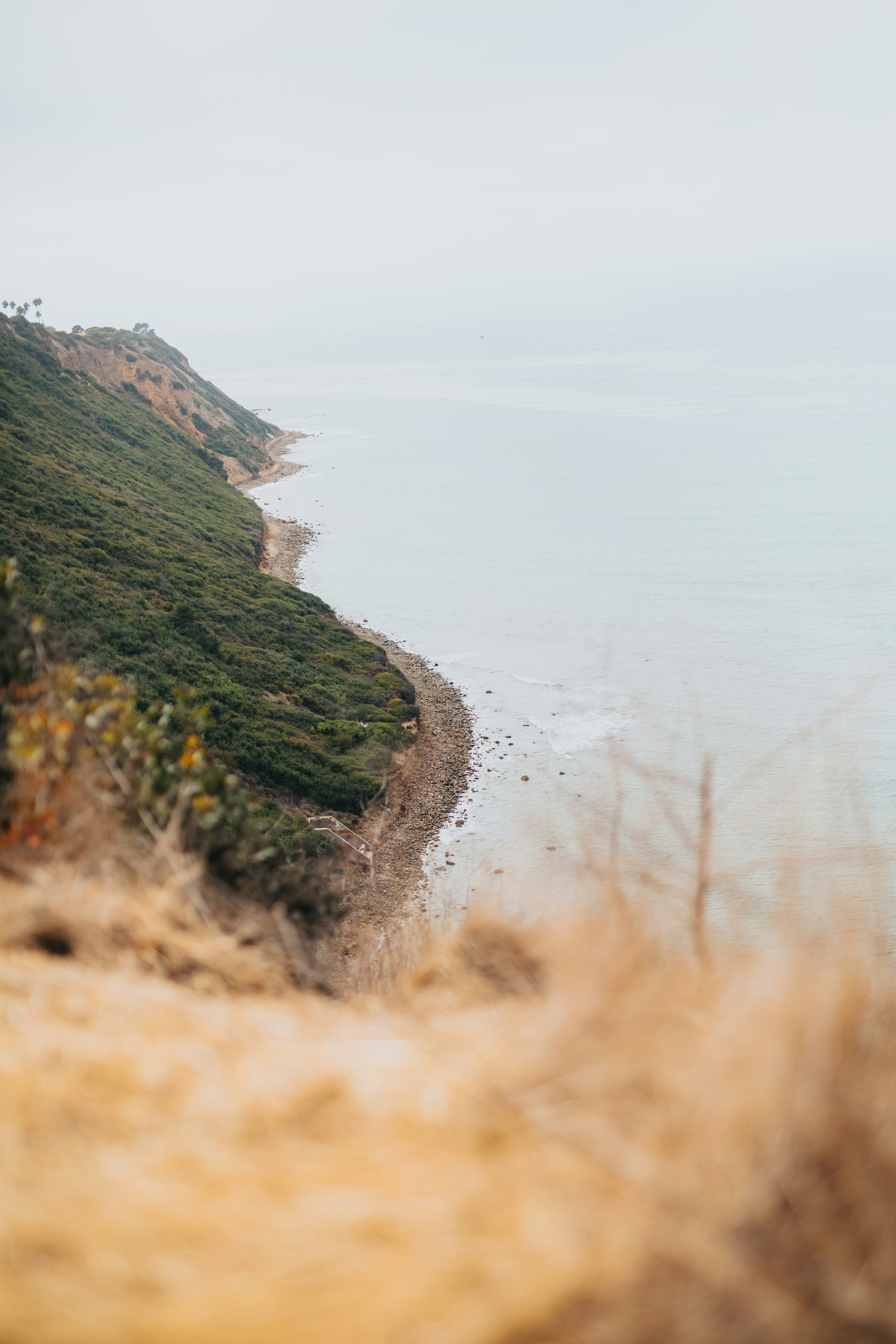 Photo by donovan_valdivia