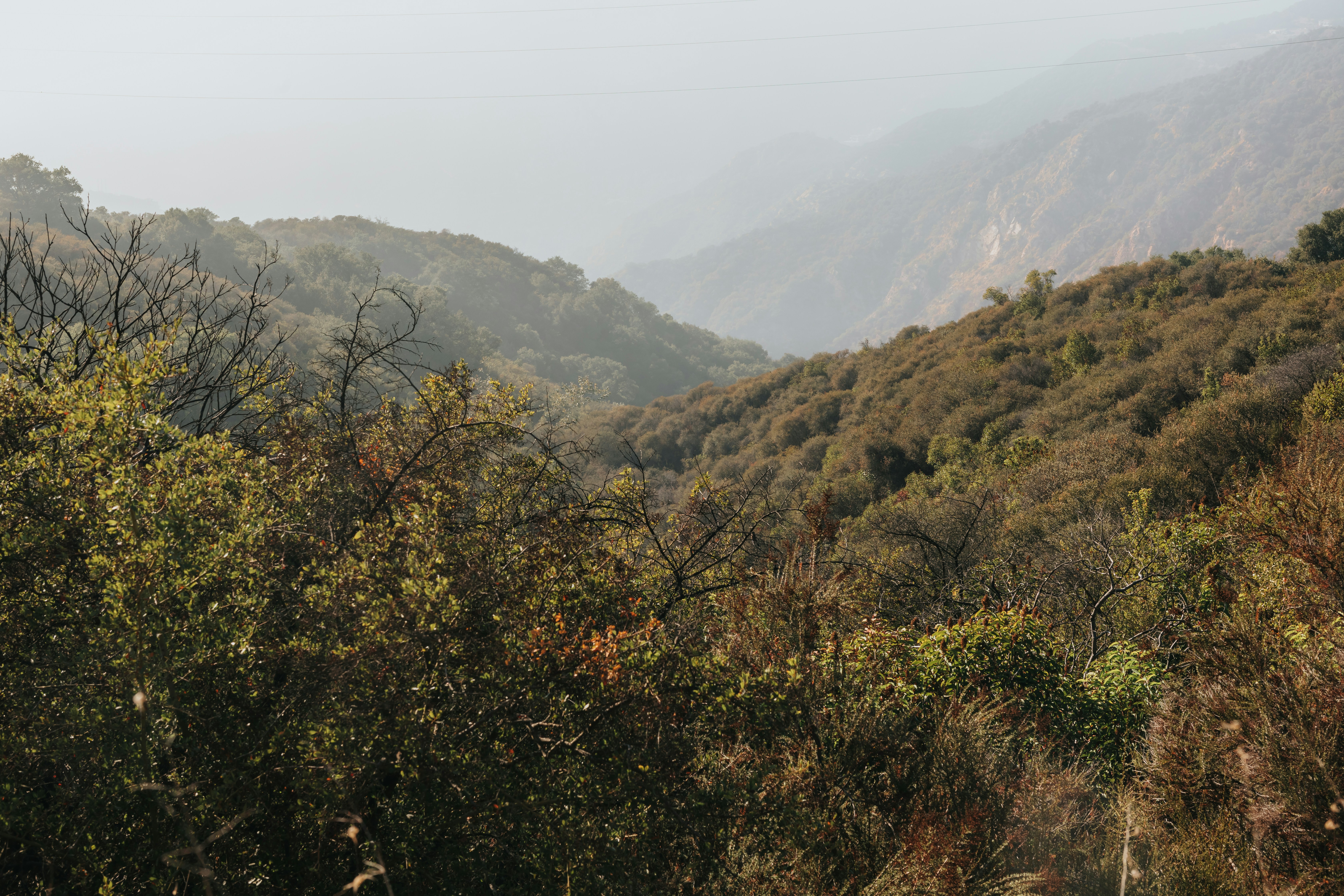 Photo by donovan_valdivia