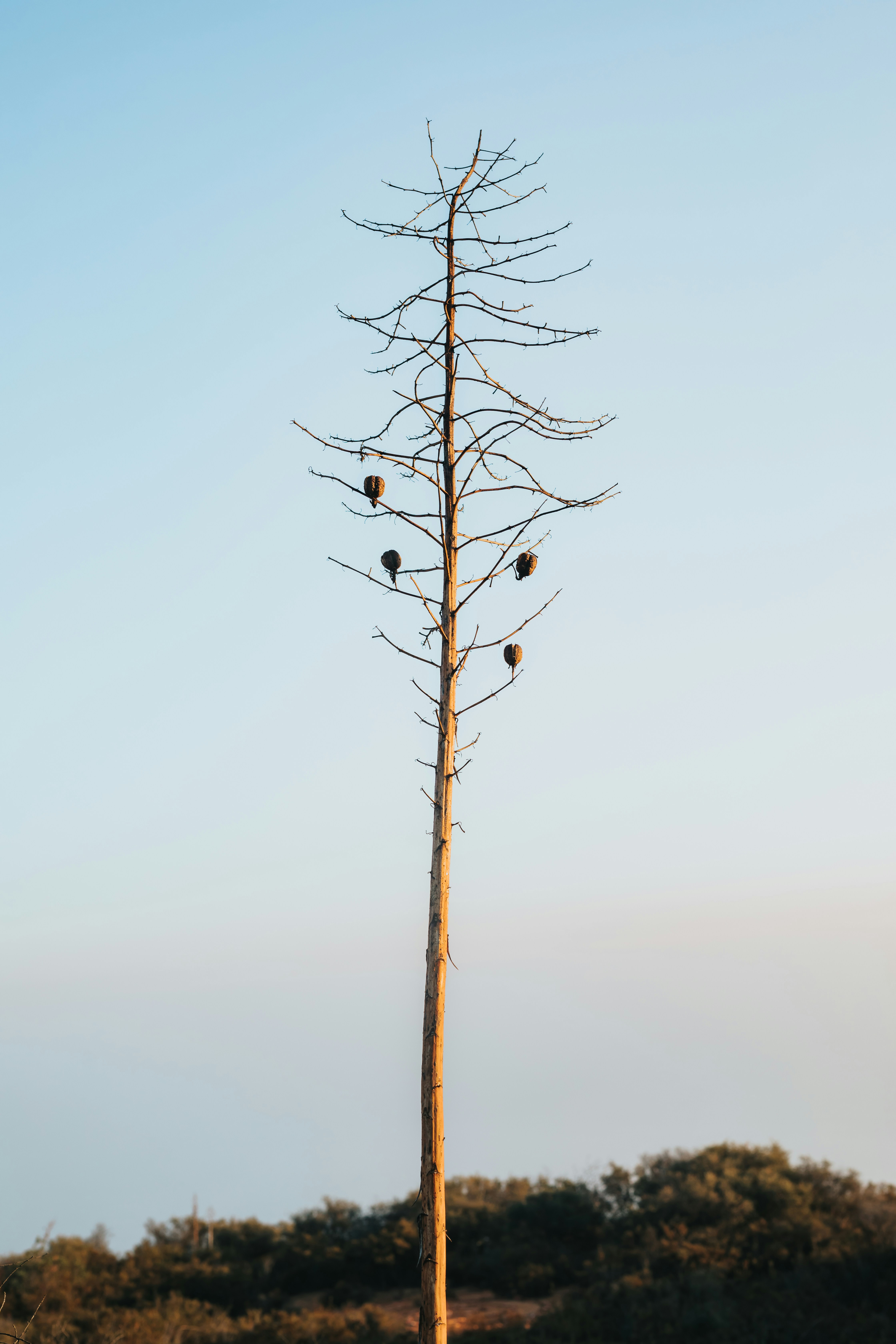 Photo by donovan_valdivia