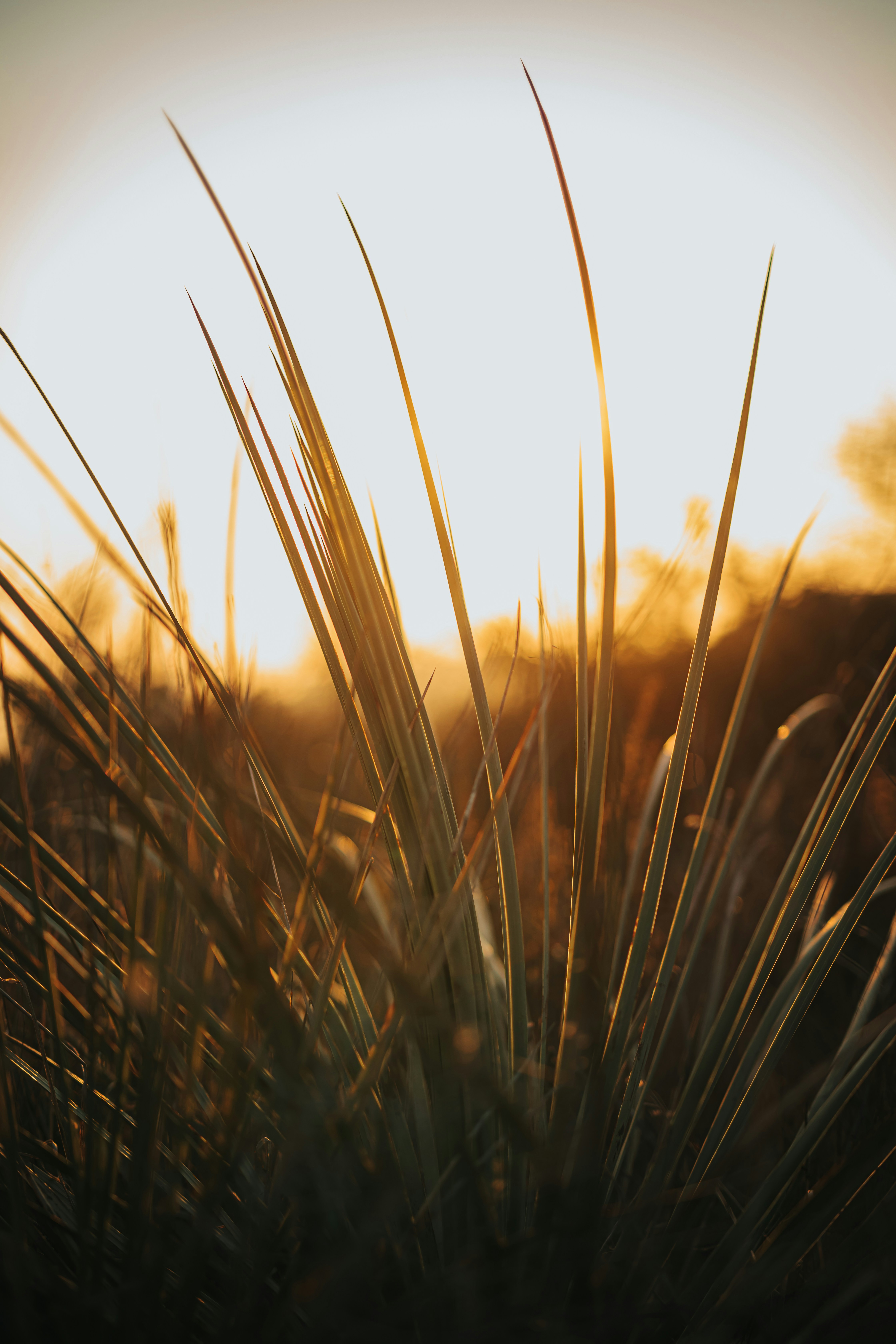 Photo by donovan_valdivia