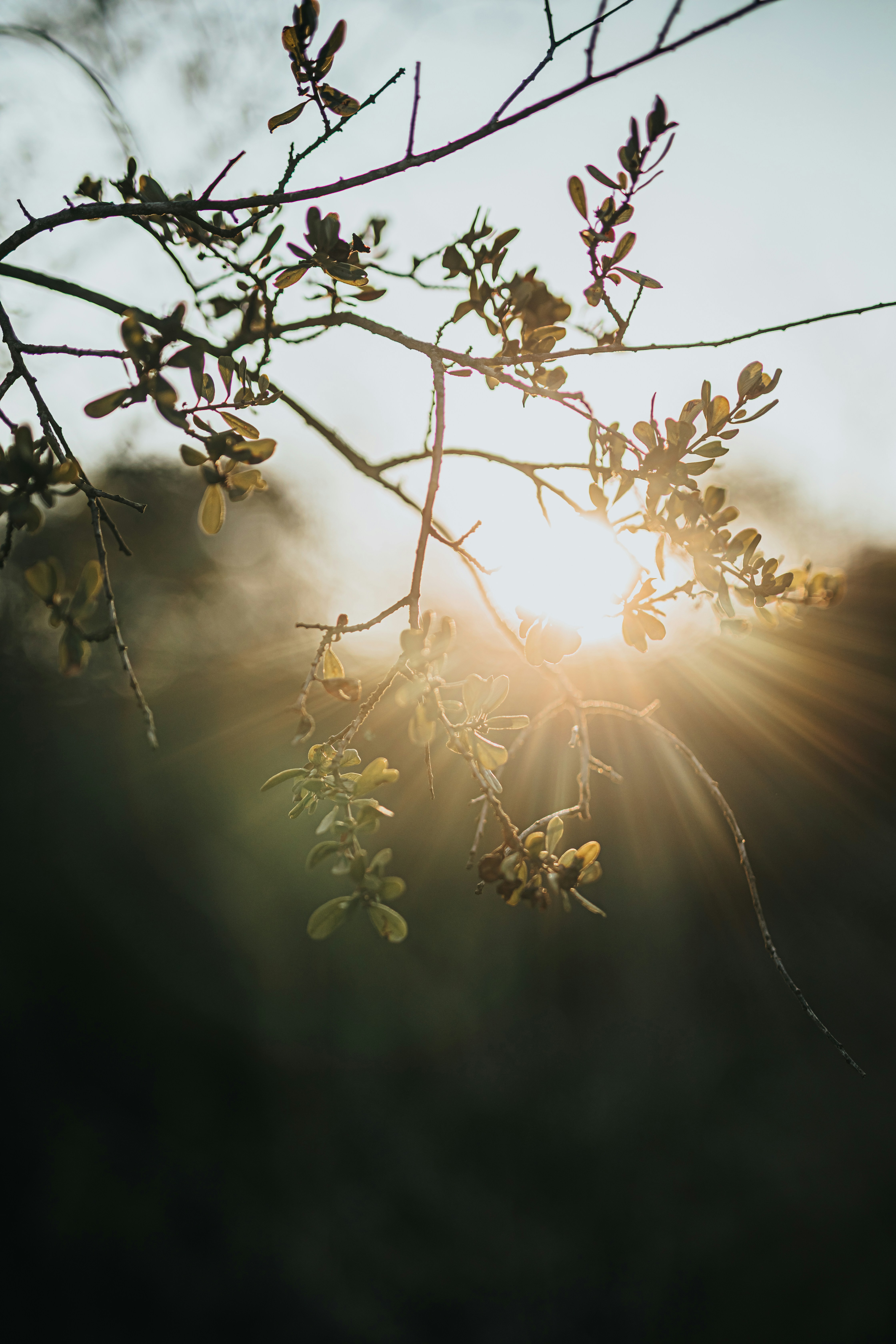 Photo by donovan_valdivia