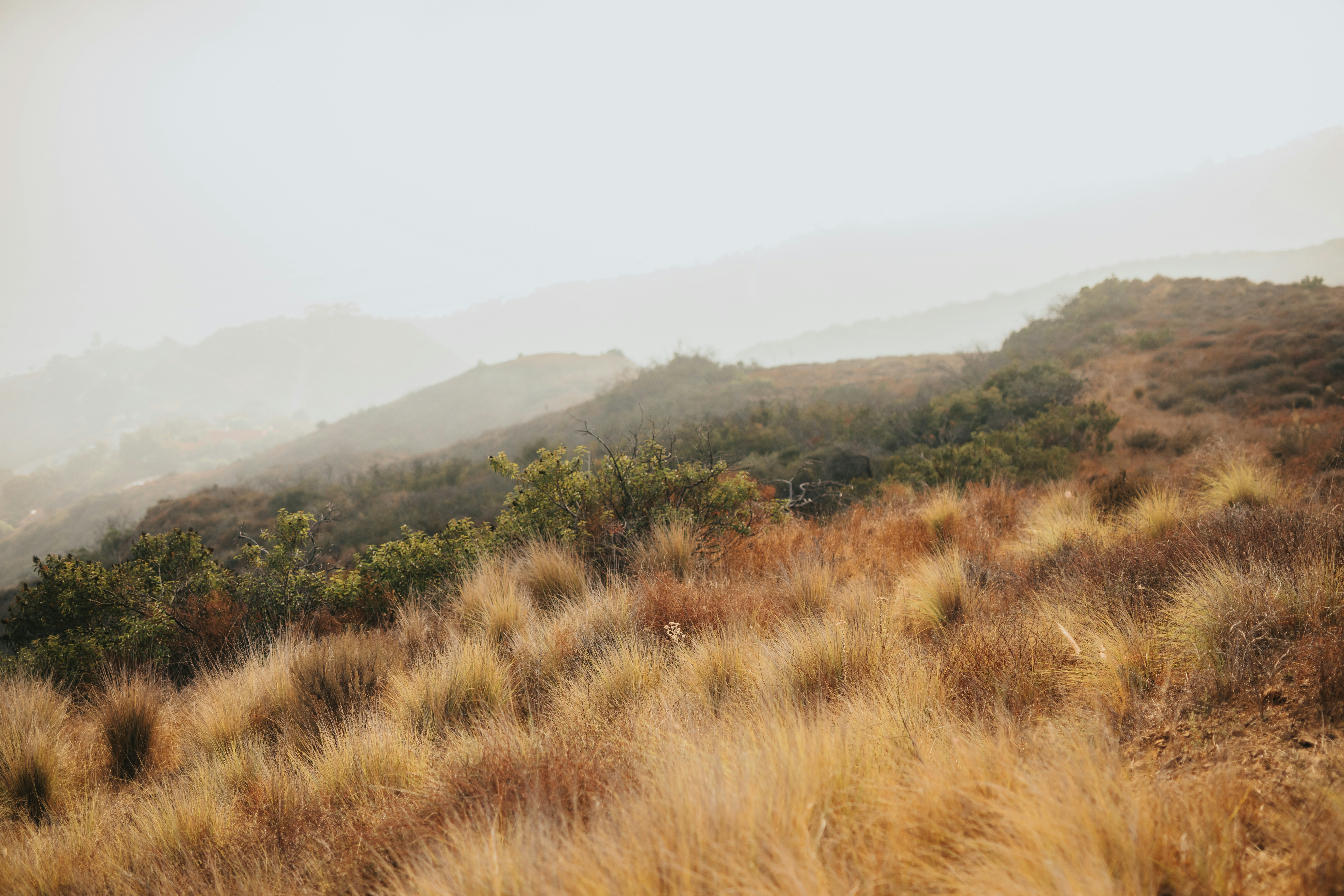 Photo by donovan_valdivia