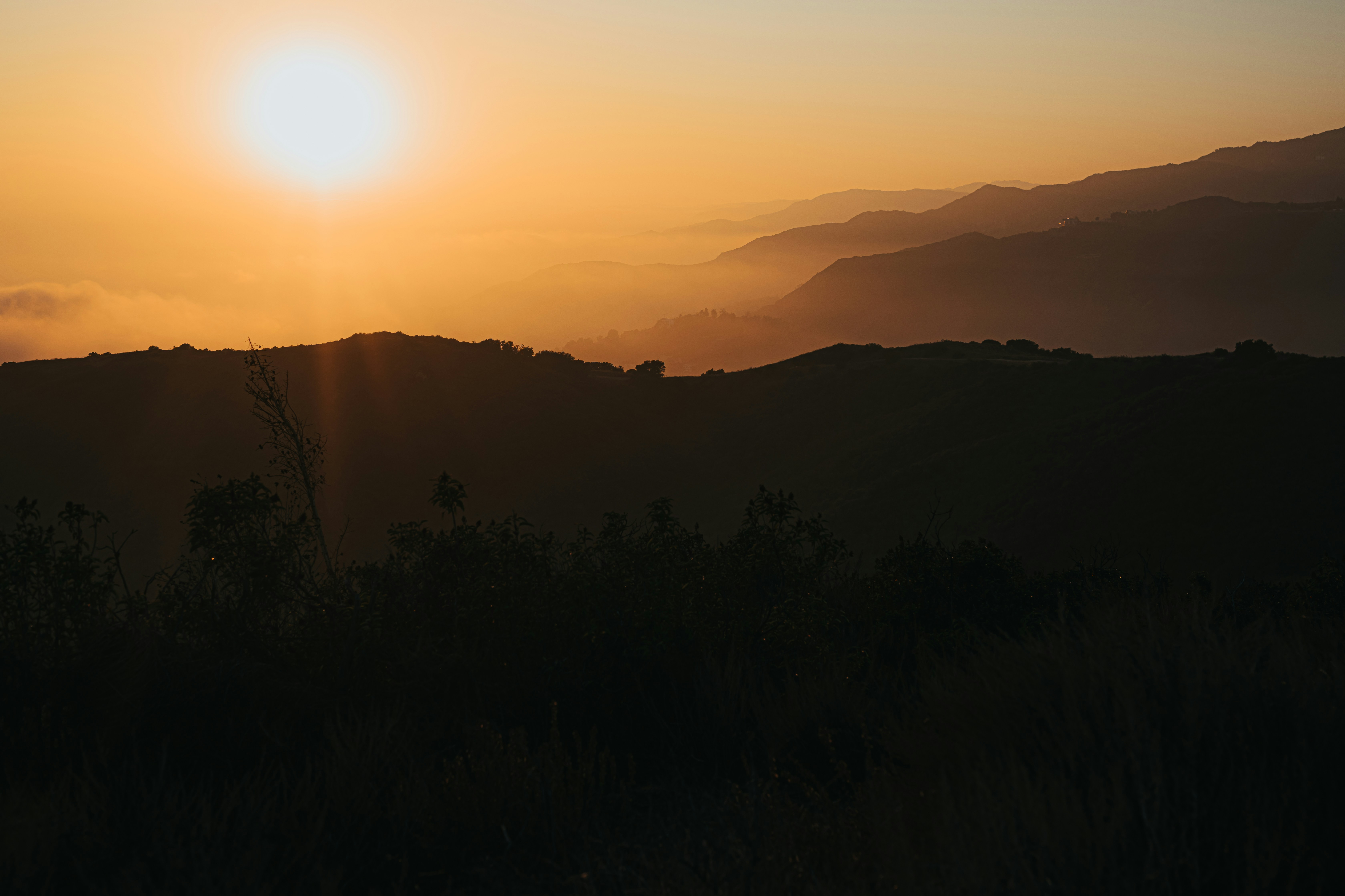 Photo by donovan_valdivia