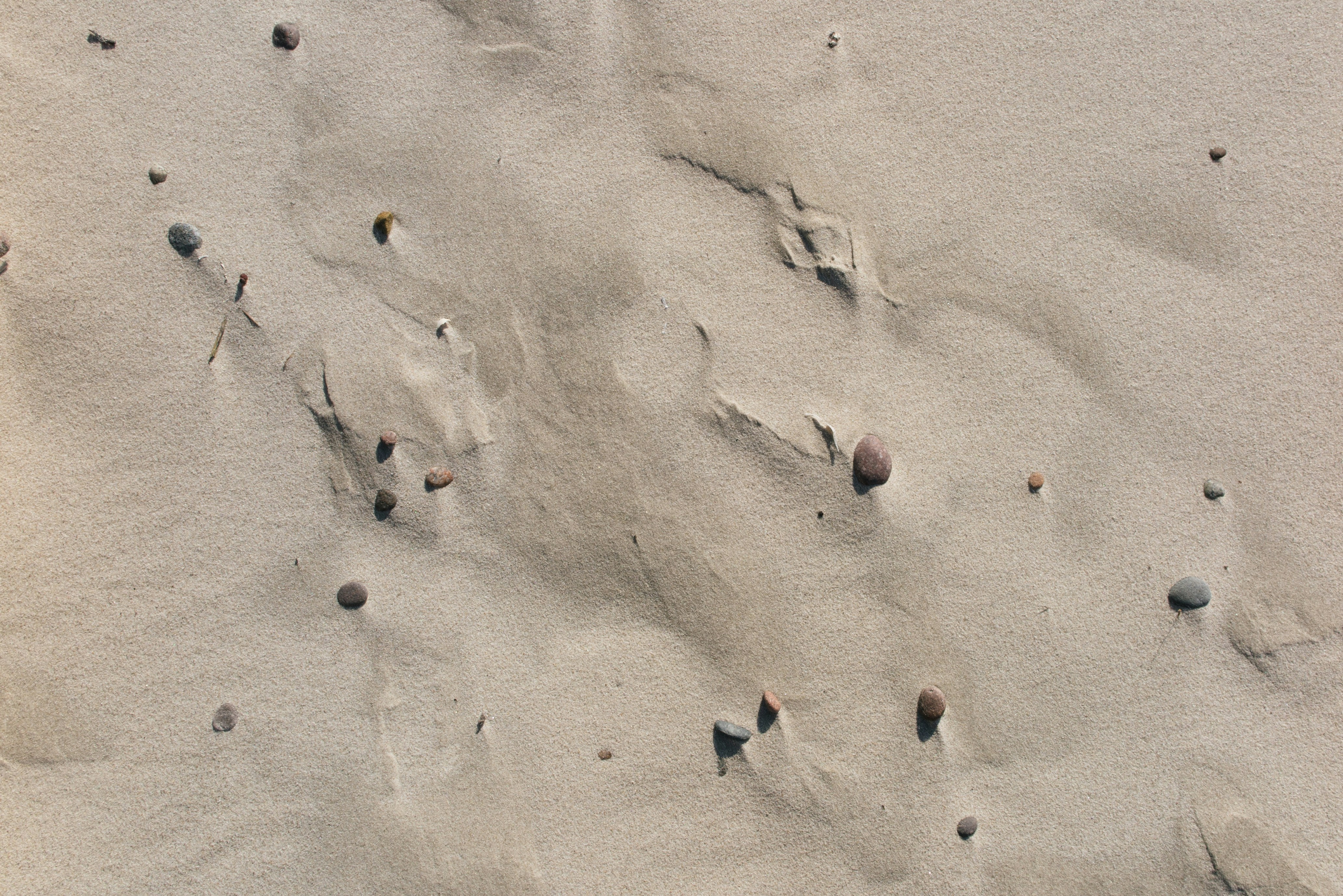 Photo by lukasopekar