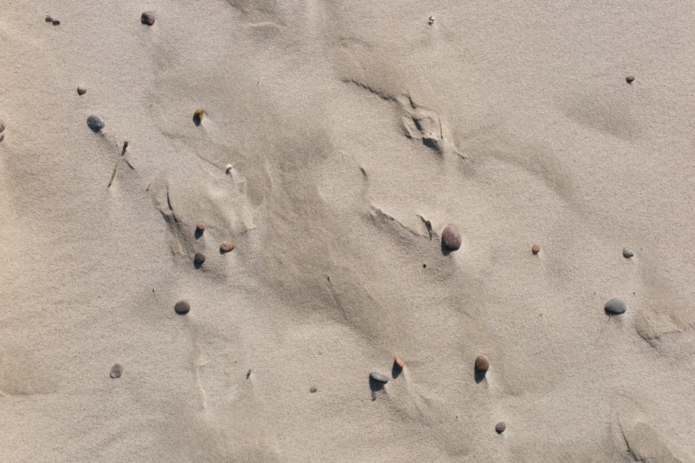 people on beach during daytime