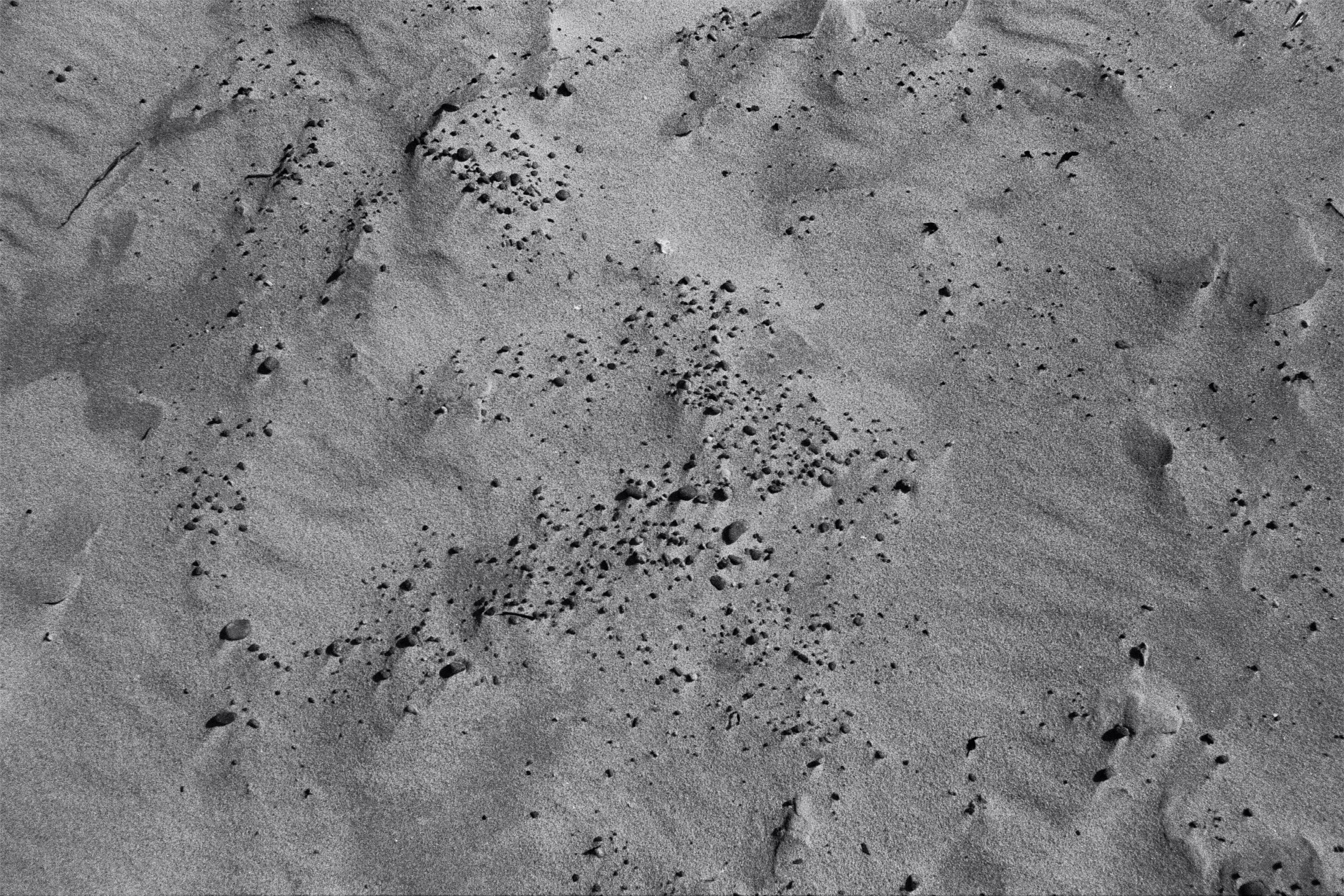 Photo by lukasopekar