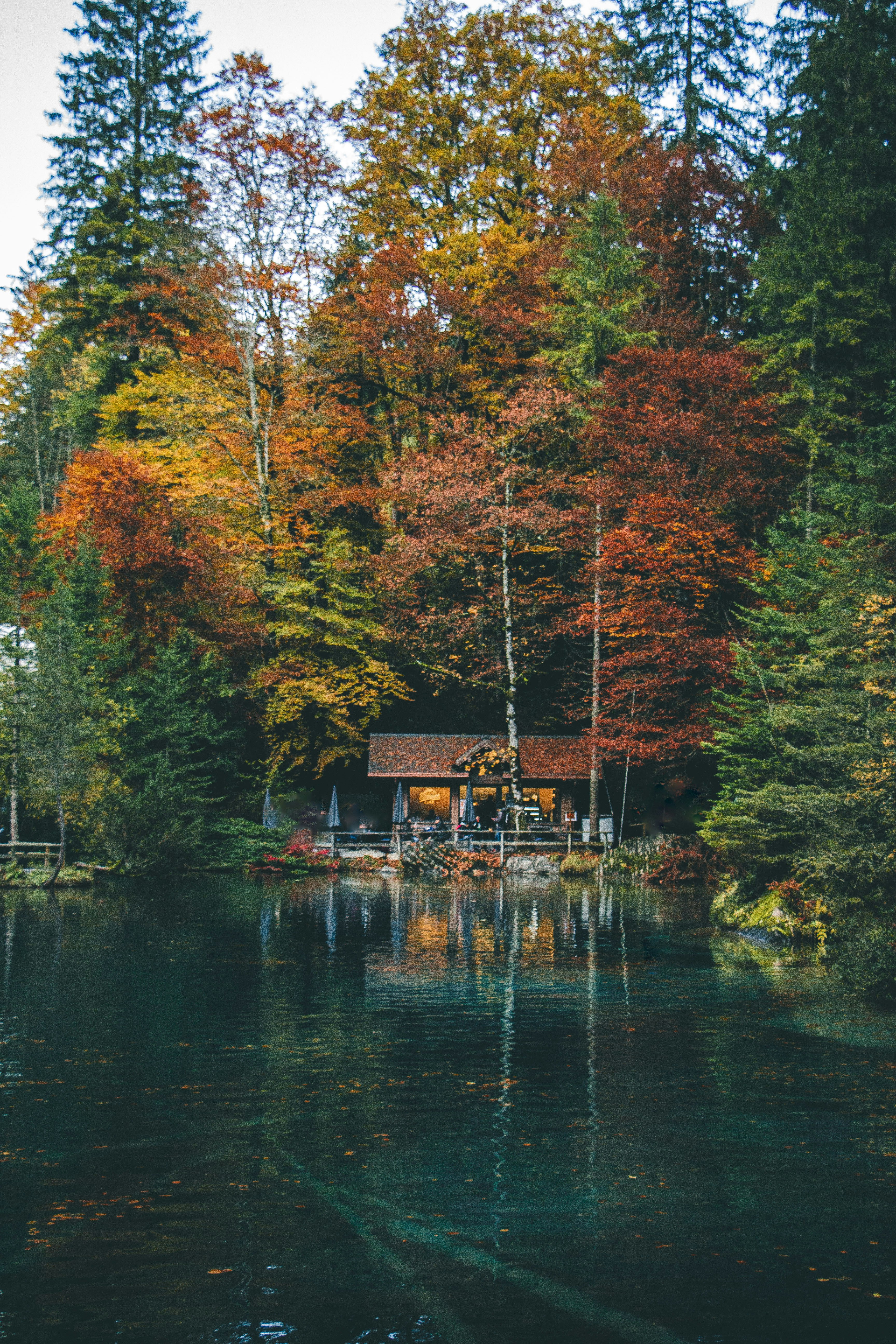 Photo by leandra_niederhauser