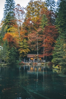 A serene cabin nestled among dense autumn foliage, surrounded by vibrant red, orange, and yellow leaves. The calm water of a lake reflects the scene, capturing the eloquent transition between the forest and the water. A sense of tranquility and seclusion is conveyed by the cozy setting and natural beauty.