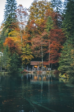A serene cabin nestled among dense autumn foliage, surrounded by vibrant red, orange, and yellow leaves. The calm water of a lake reflects the scene, capturing the eloquent transition between the forest and the water. A sense of tranquility and seclusion is conveyed by the cozy setting and natural beauty.