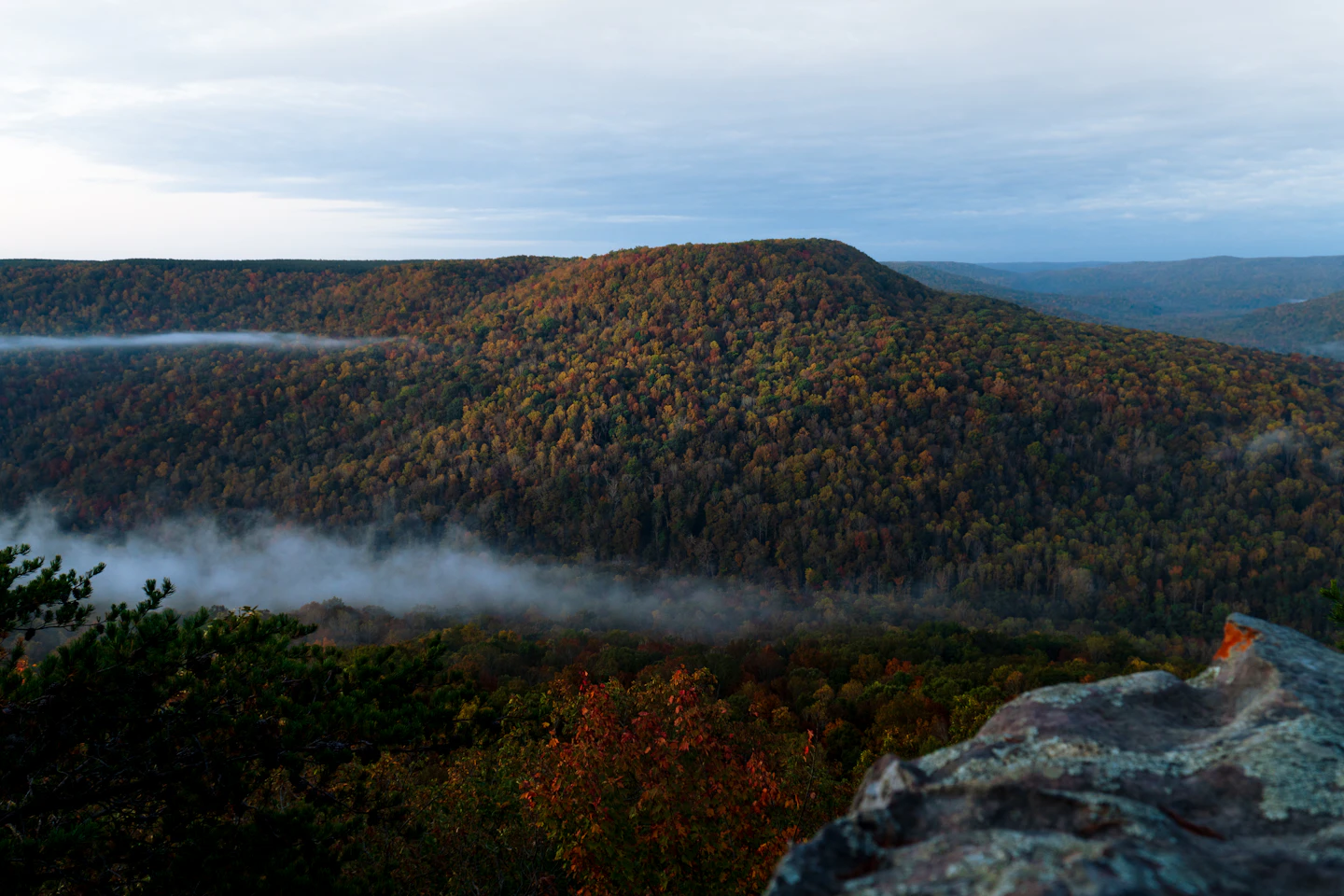 A forested mountainside under low cloud on a grey morning.