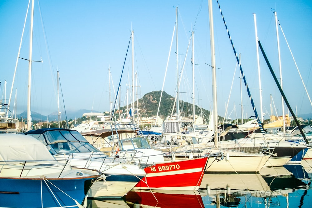 white and red boats on sea dock during daytime