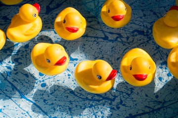 Rubber Ducks on Cruise Ships? Yep, It’s a Thing!