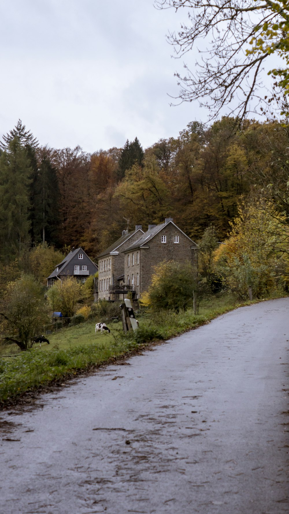 brown wooden house near green trees during daytime