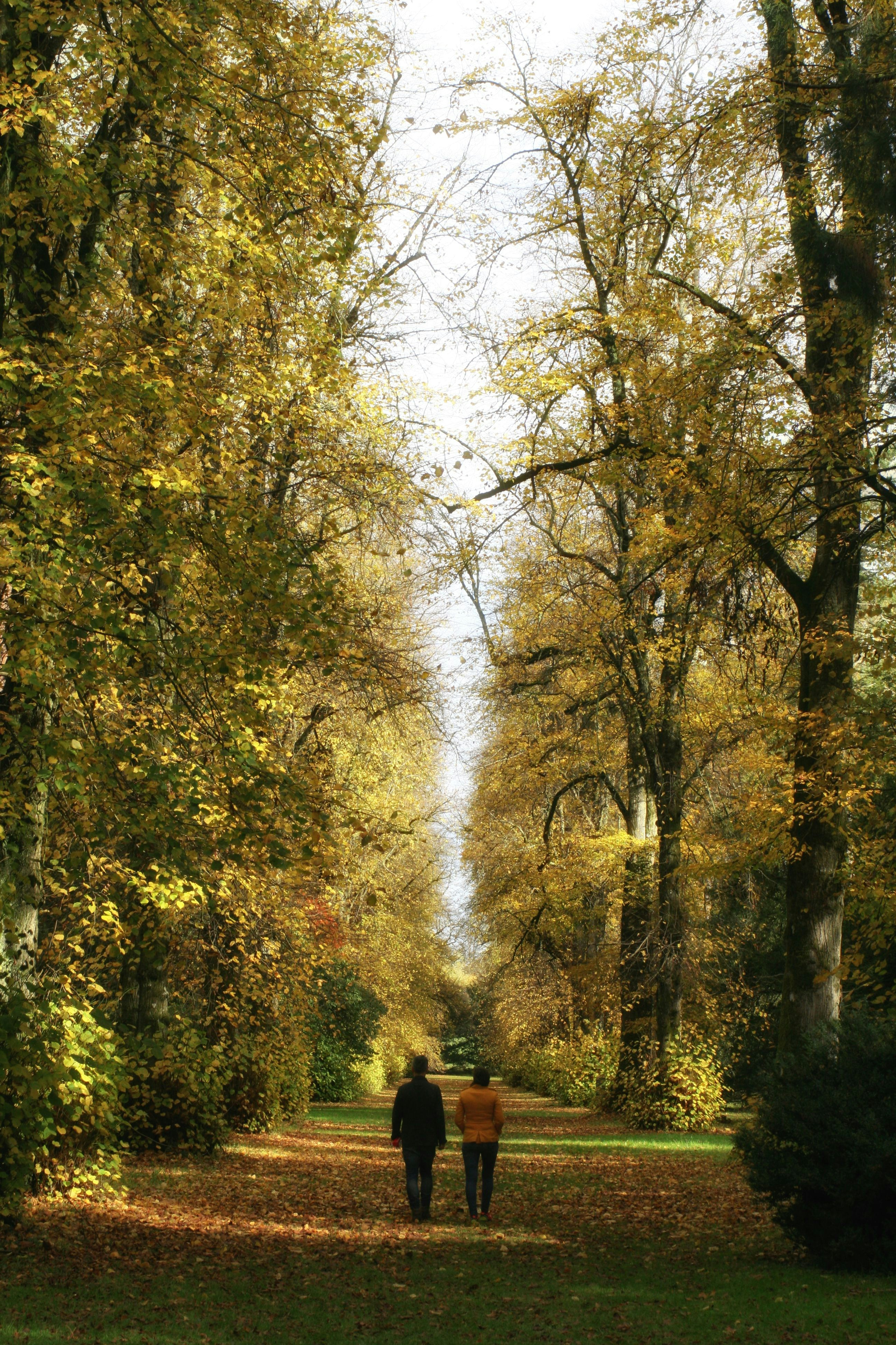 Photo by elliottmatthews