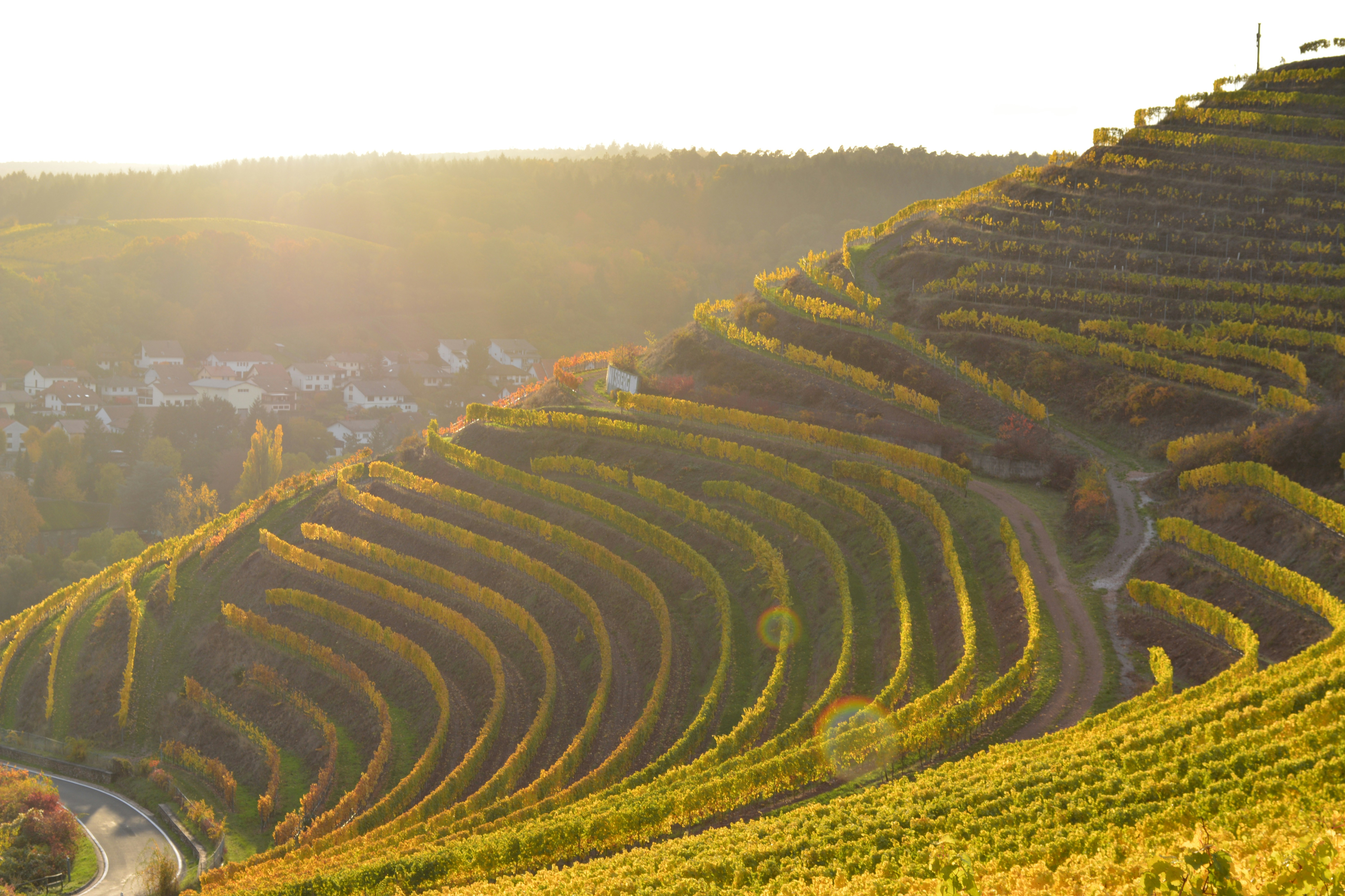 Photo by michael_ender