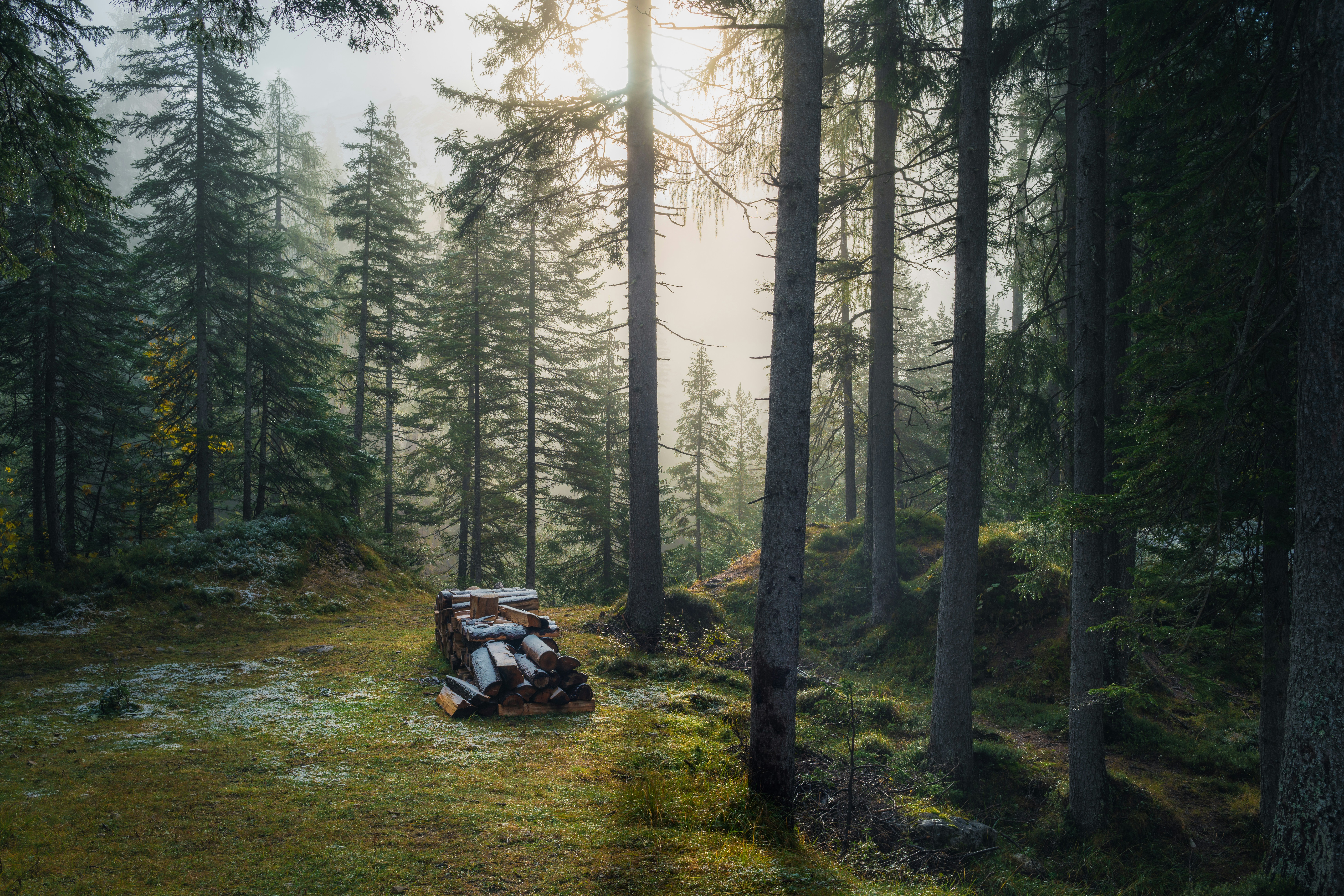 Photo by danielsessler